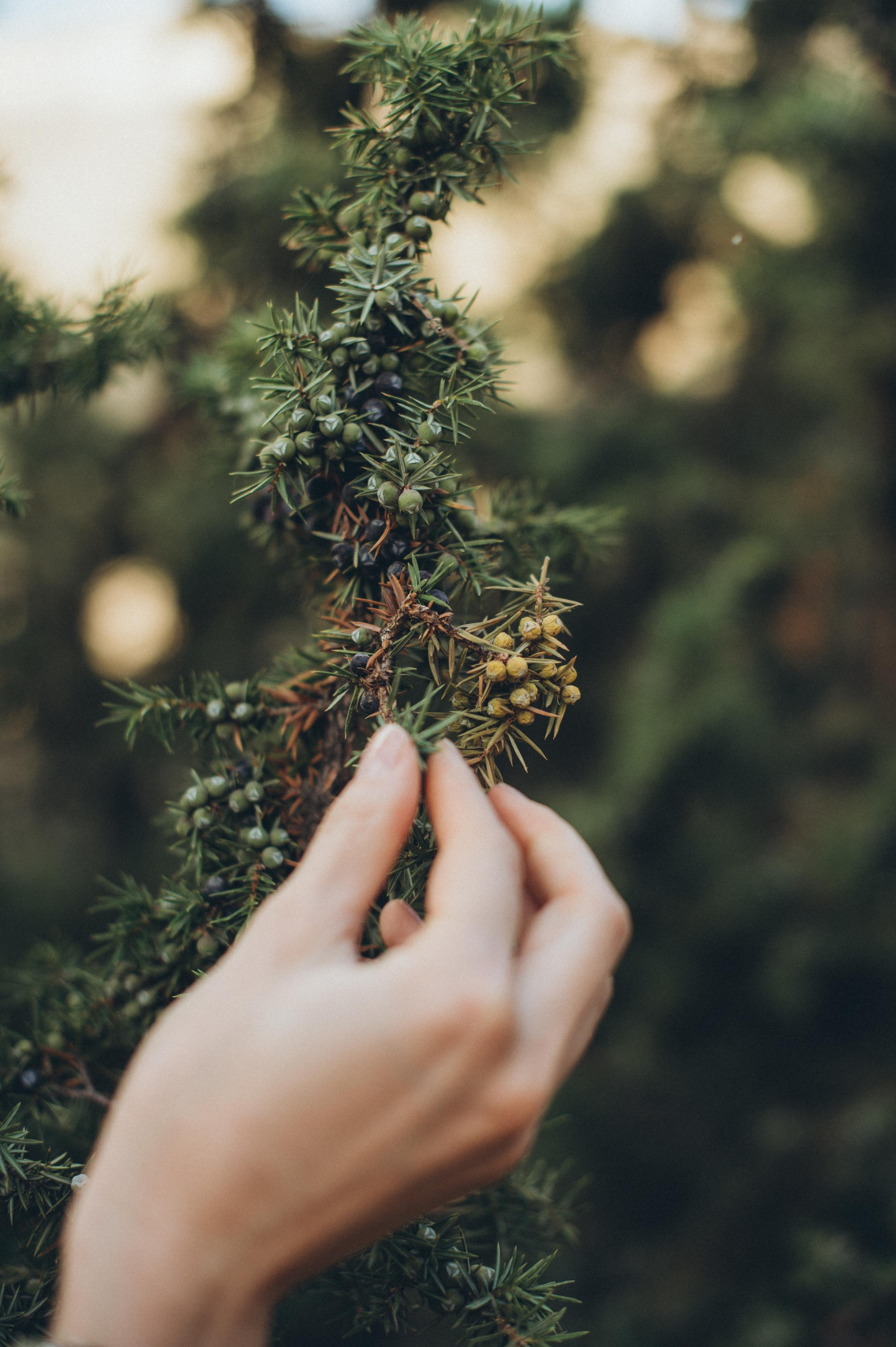 Дагестан. Юля. Фотограф Наталья Могилевская Мурманск Териберка Сейдозеро Рыбачий