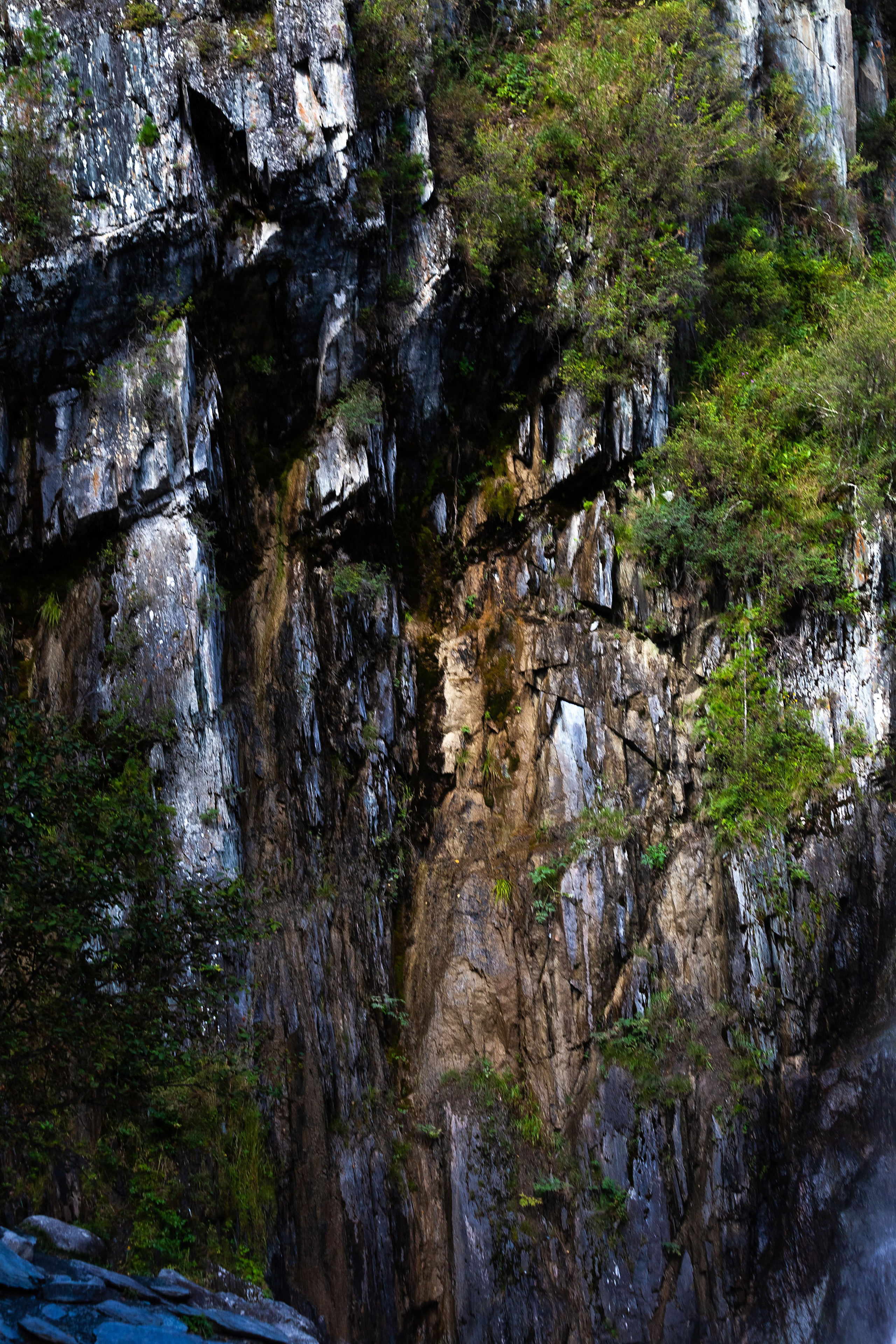 АЛТАЙ 2024 / ALTAI 2024. Главная