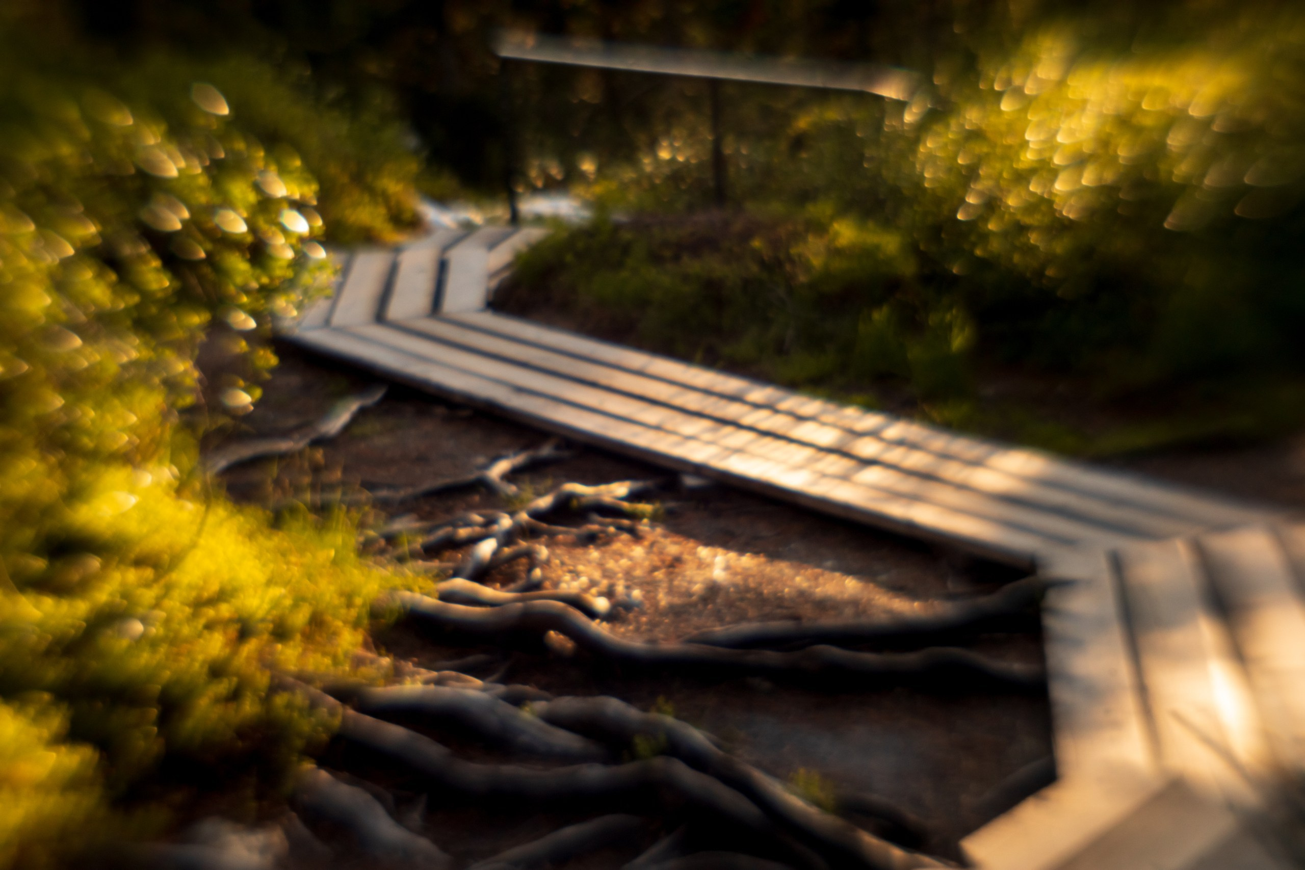 Ловец снов. Фотограф в Красноярске Оксана Корчагина