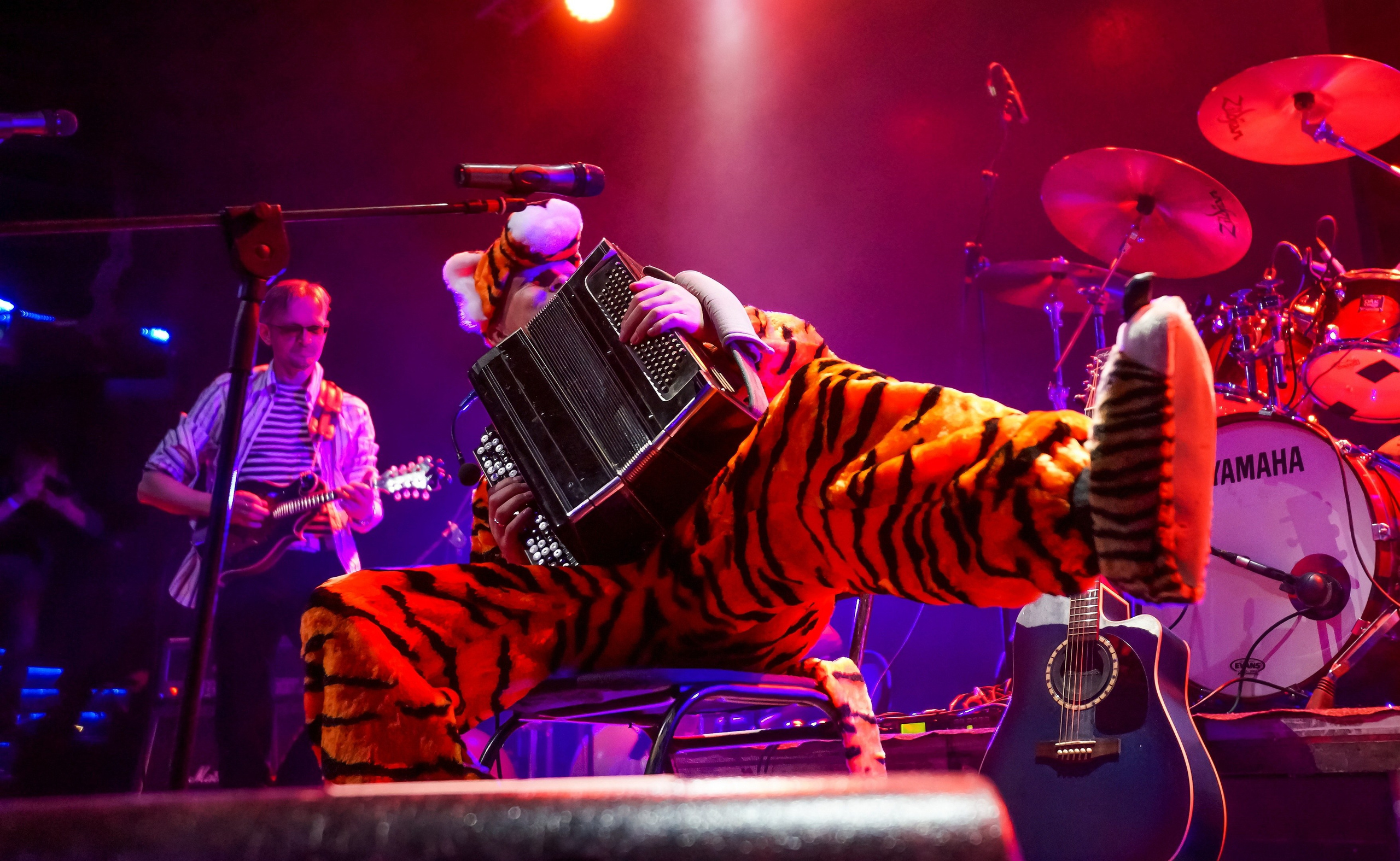 Концерты. Константин Дем | Фотограф