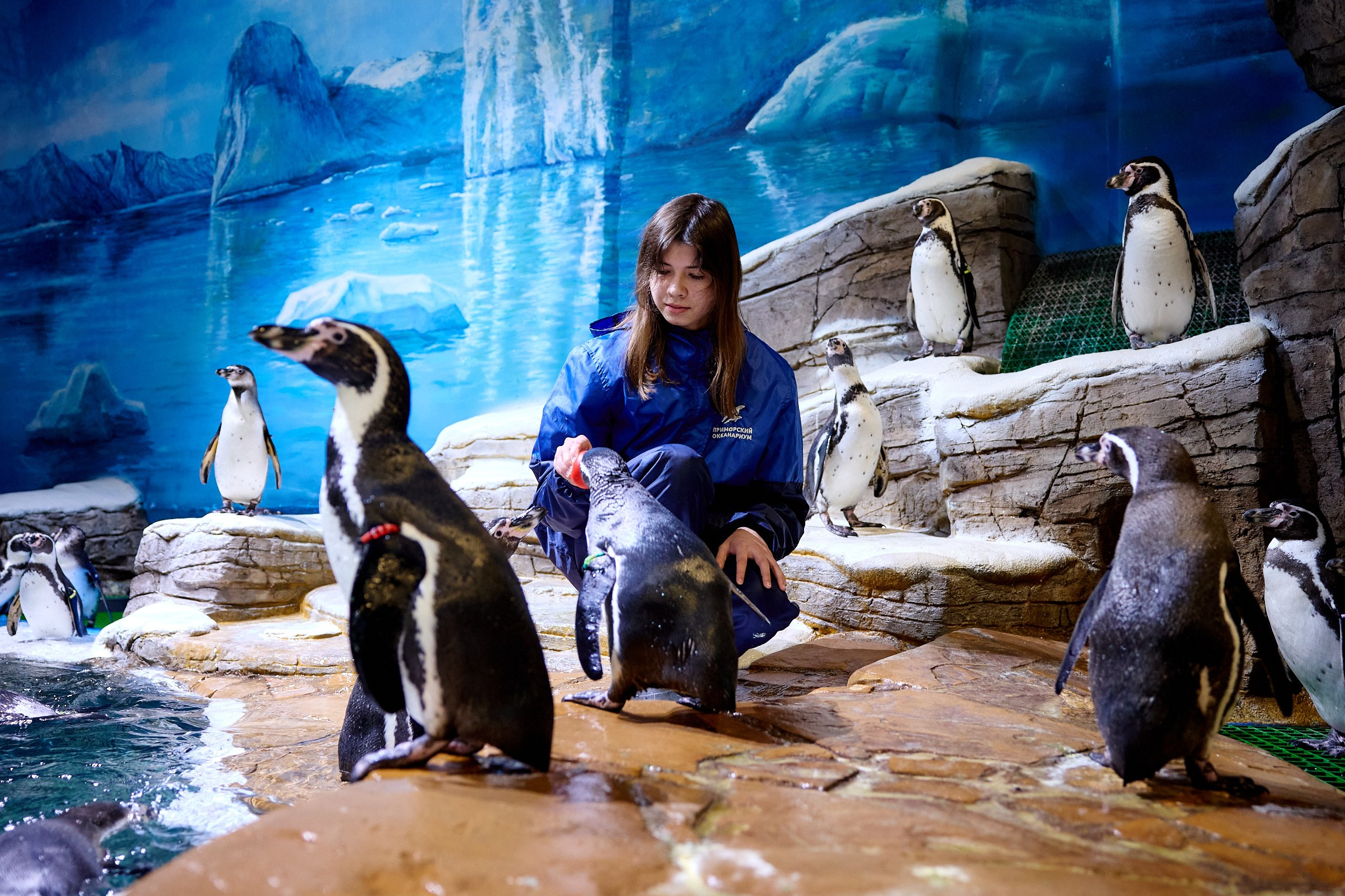 Тихоокеанская проектная школа 2025