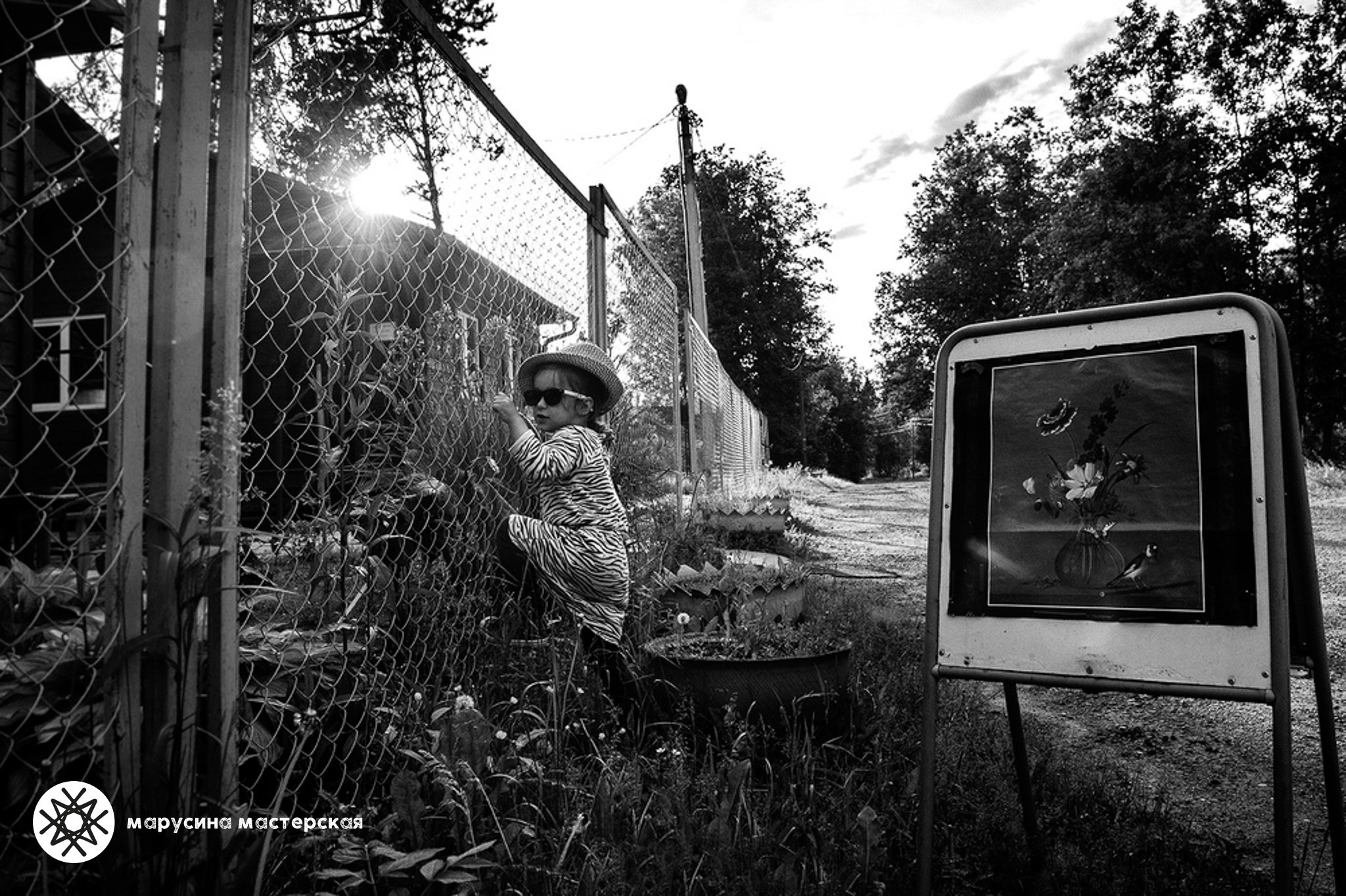 Творческая фотография, снятая в рамках летней творческой практики, автор — Татьяна Ильина