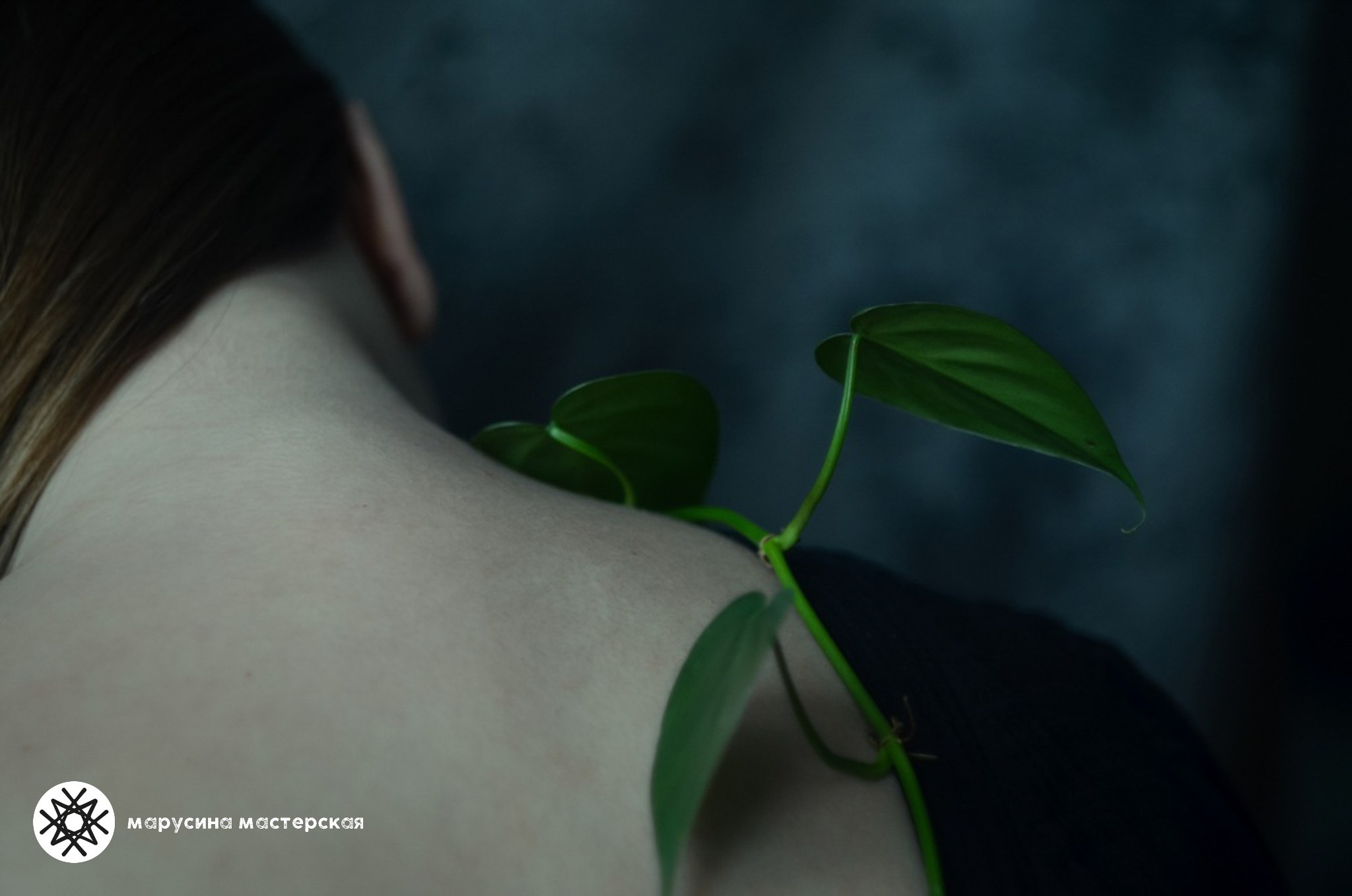 Алёна Лучинина