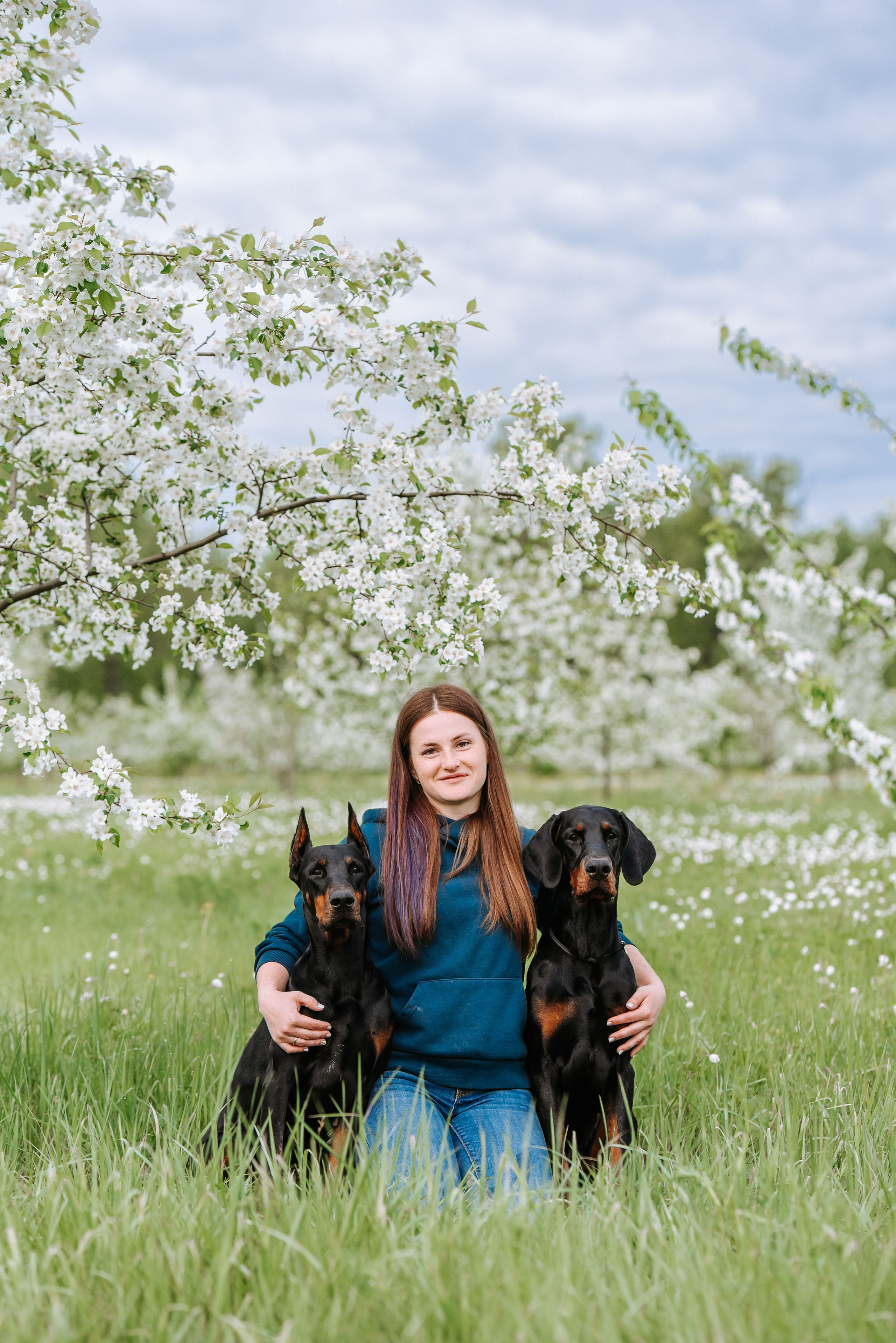 Цветение с доберманами. Фотограф Диана Оленина Красноярск / Братск