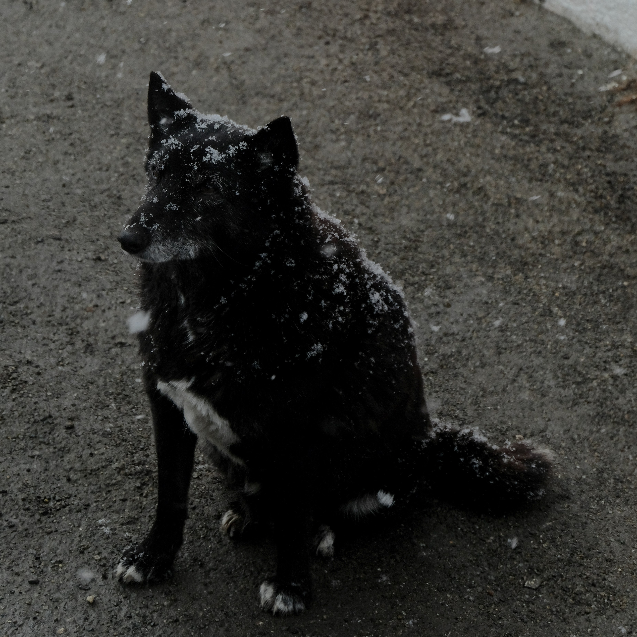 Arkhyz. Creative travel photographer — Berg Daria