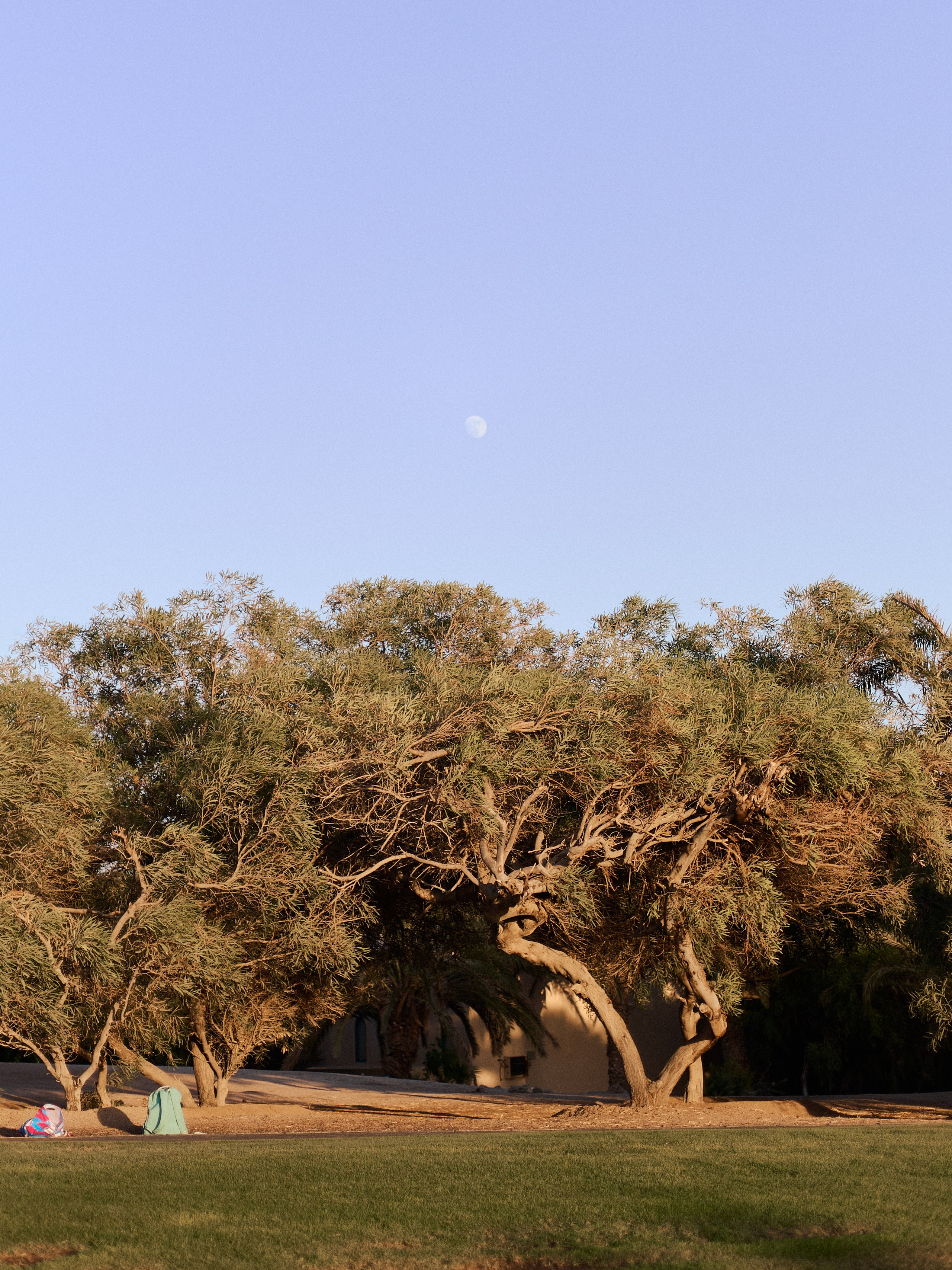 Другое 3. Jorgis Talè — photographer, kind person, teacher of arts and other mag