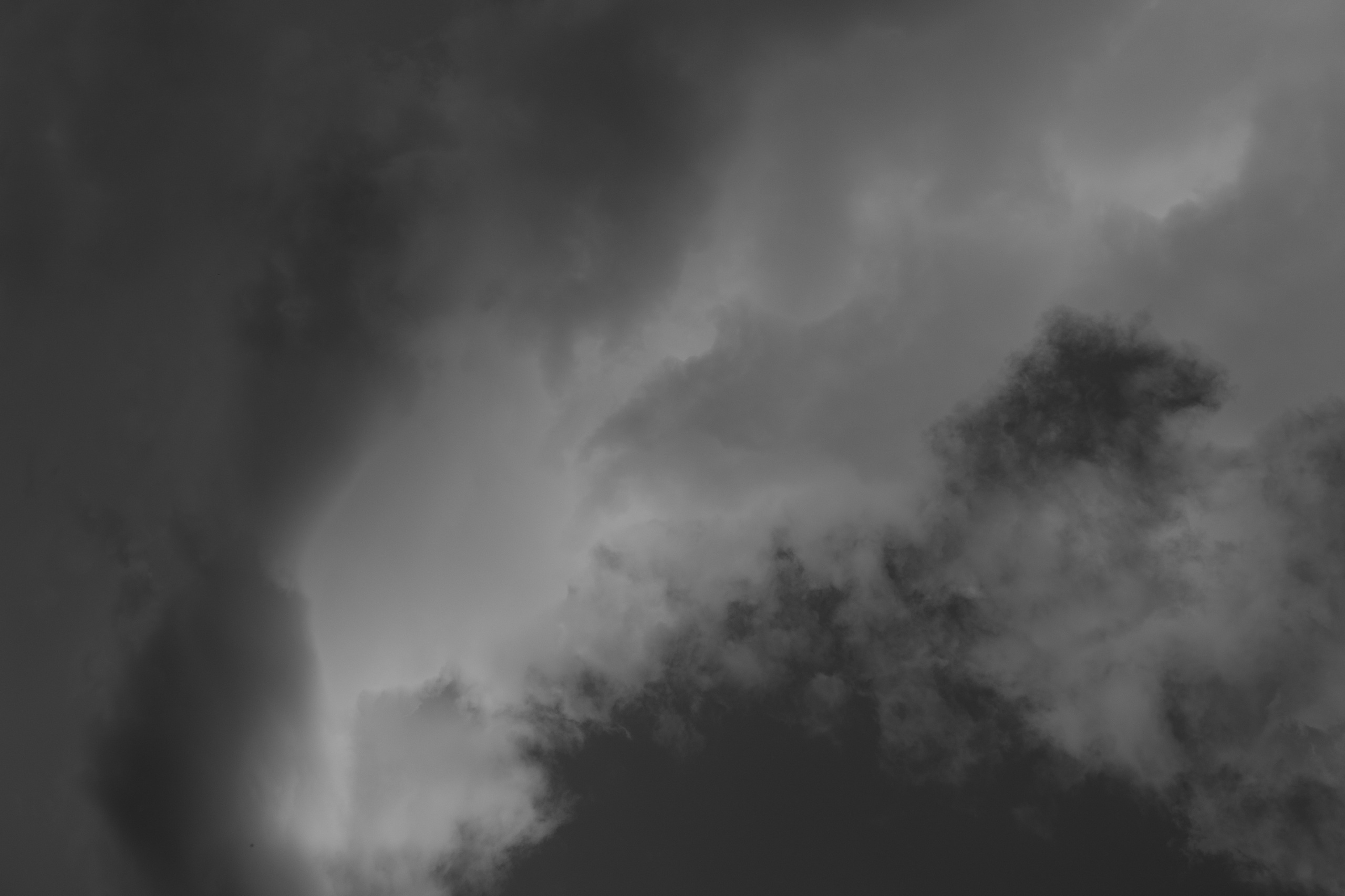 Art prints. Фотограф алина стерхова, алина стерхова фотограф, фотограф москва