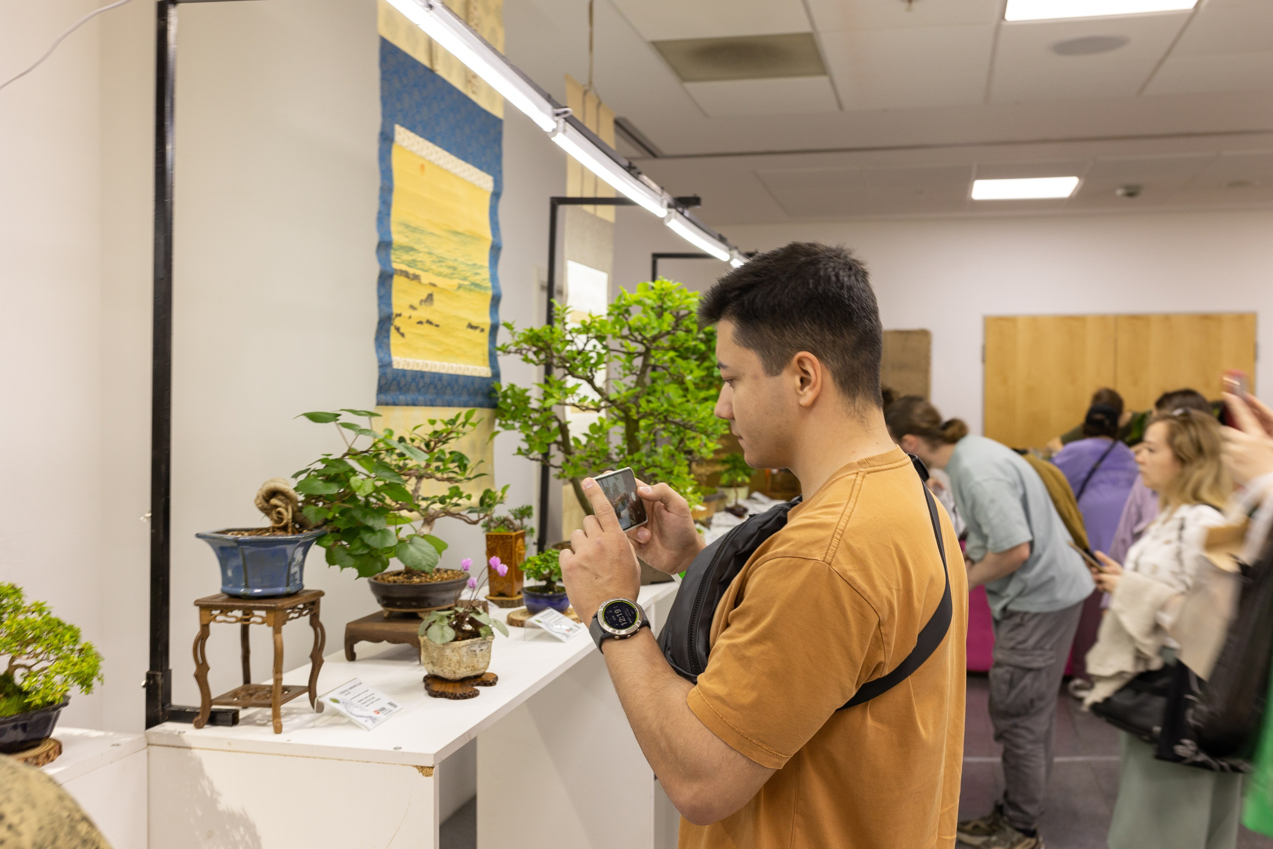 Орхидиум июнь 2024. Александра Куликова фотограф, Москва