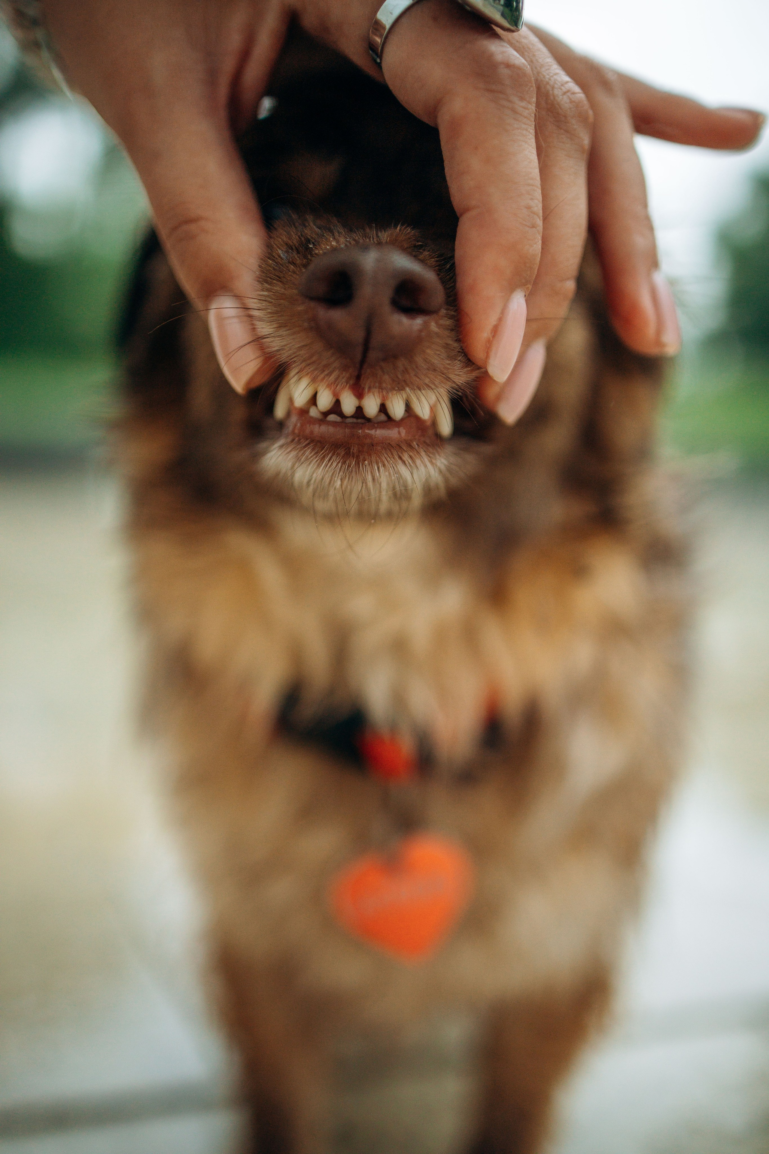 Дарья и Ассоль