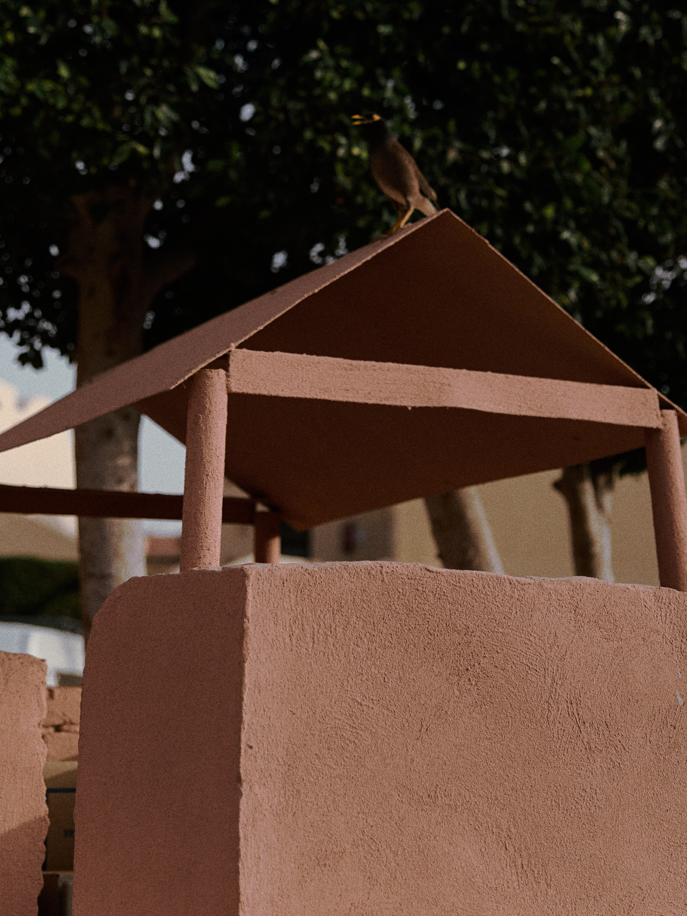 Другое. Jorgis Talè — photographer, kind person, teacher of arts and other mag