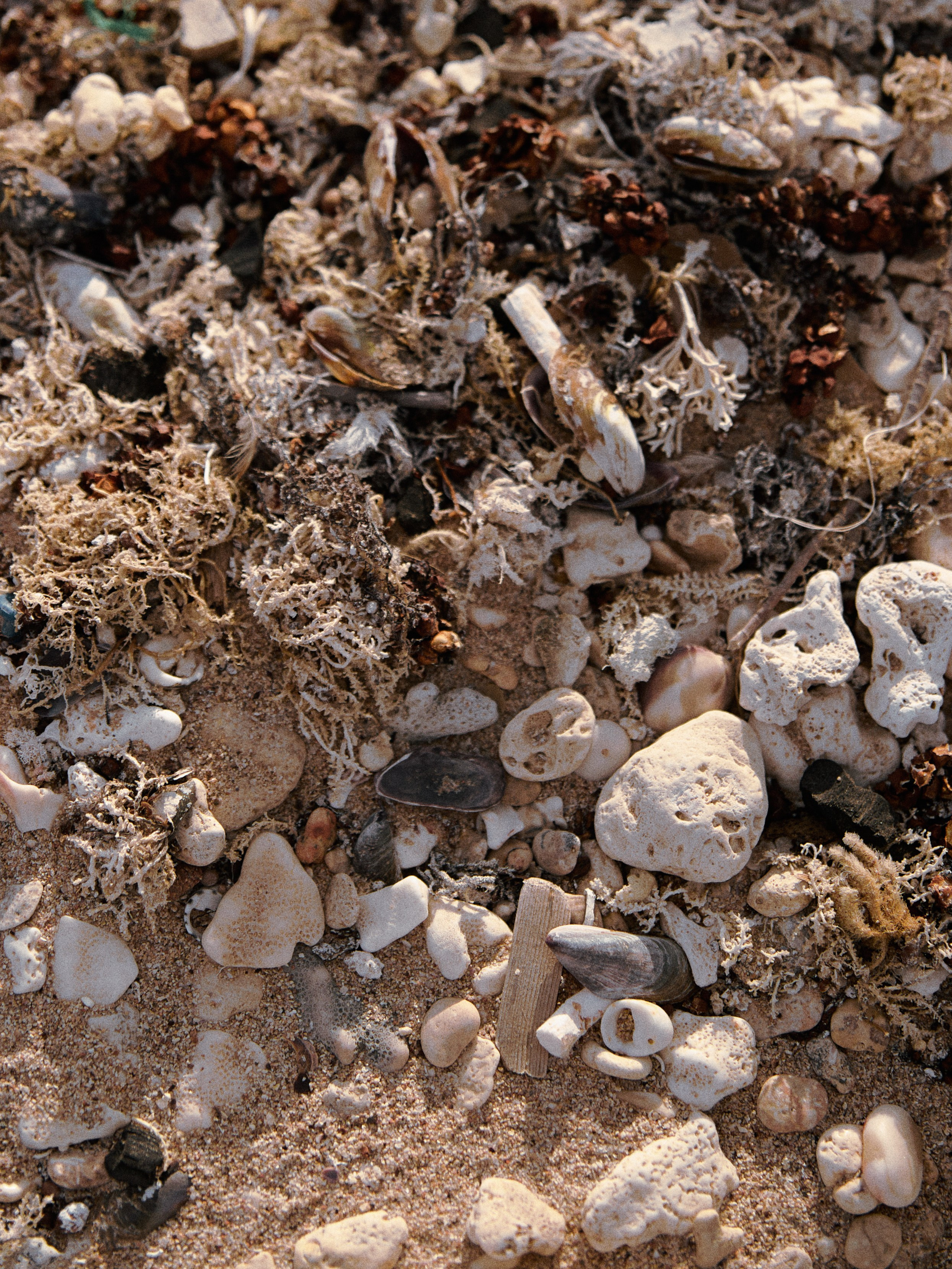 Диптих. Jorgis — фотограф в Хургаде / обучение фотографии