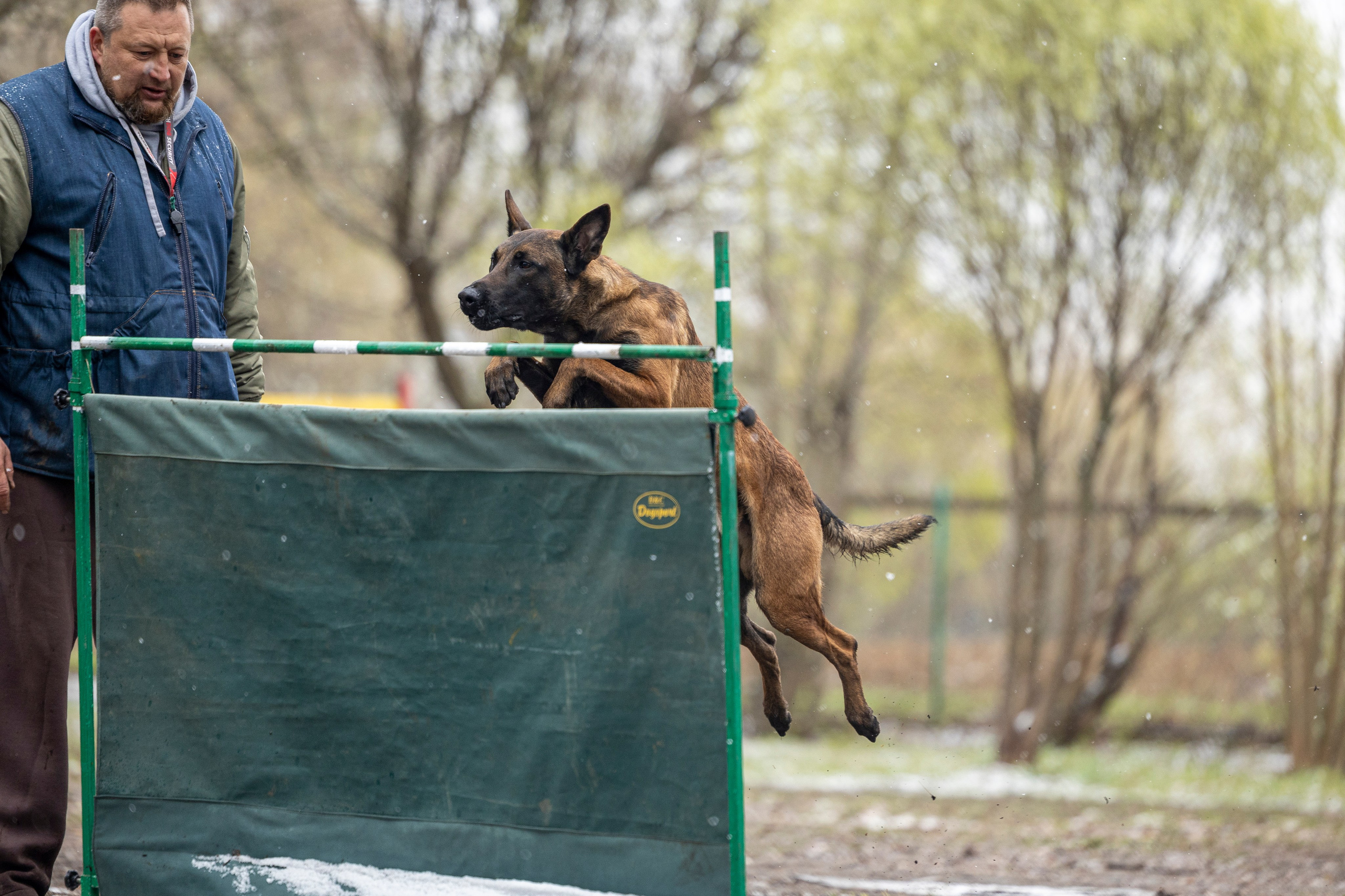 Квалификационные состязания по мондьорингу г. Вологда 11.05.24. Фотограф-анималист Анна Маринич