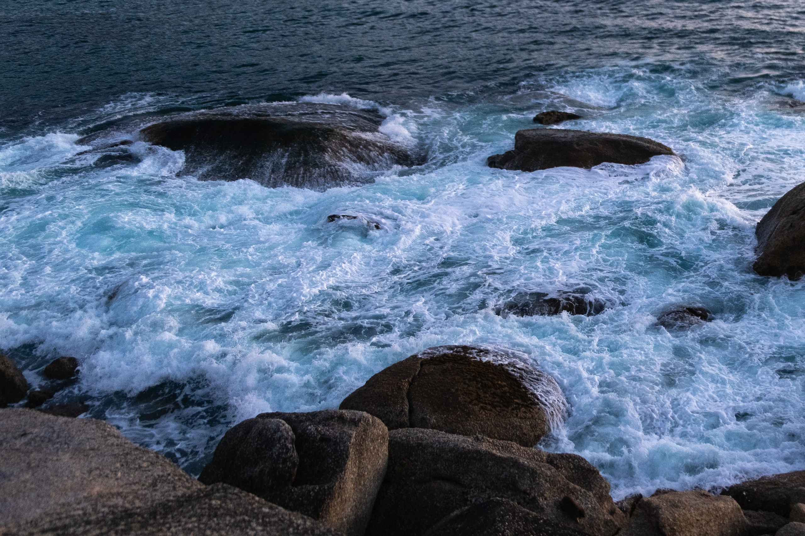 Пингвины и другие. Фотографии из путешествий
