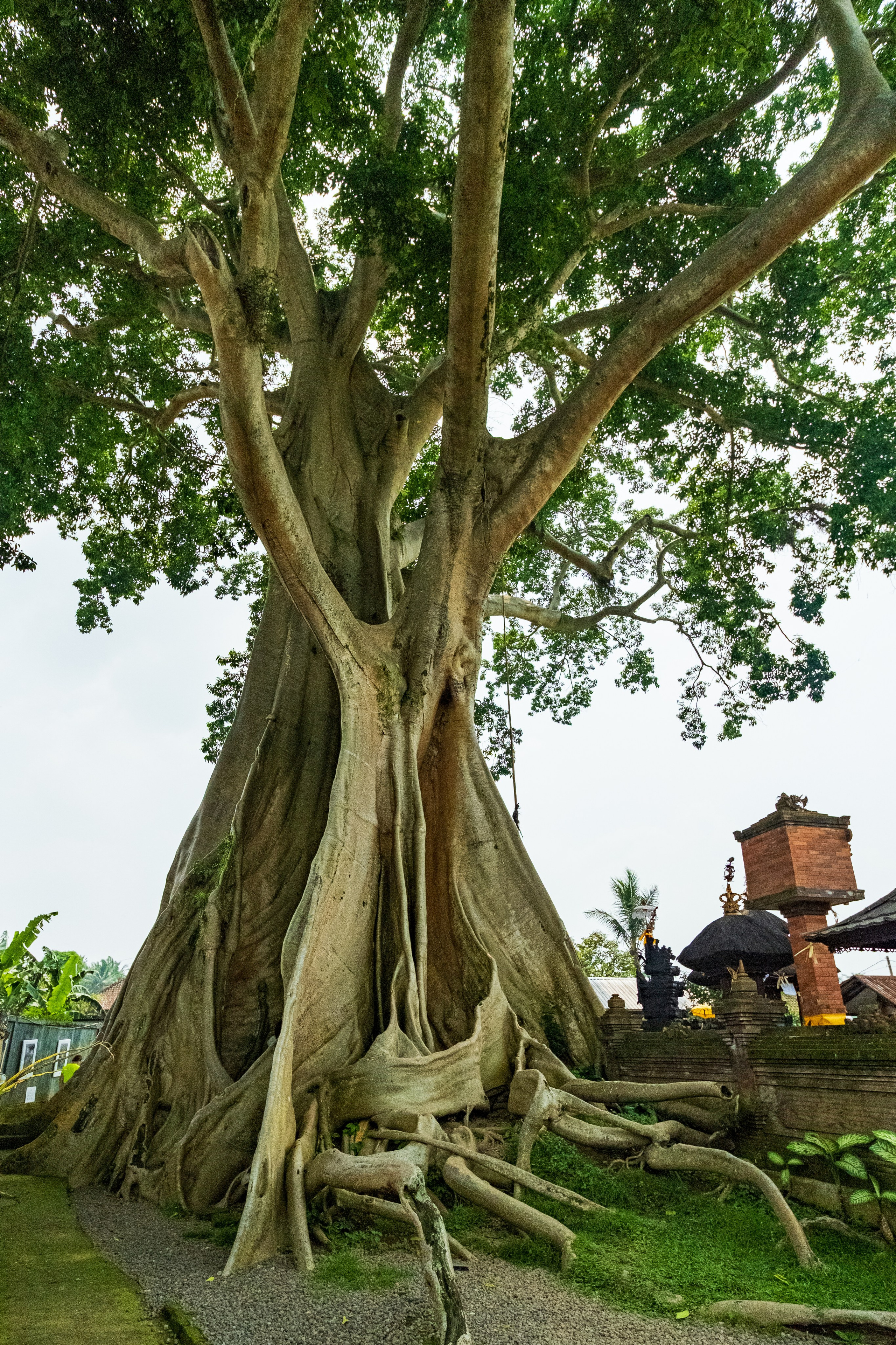 Остров Бали. Фотографии из путешествий
