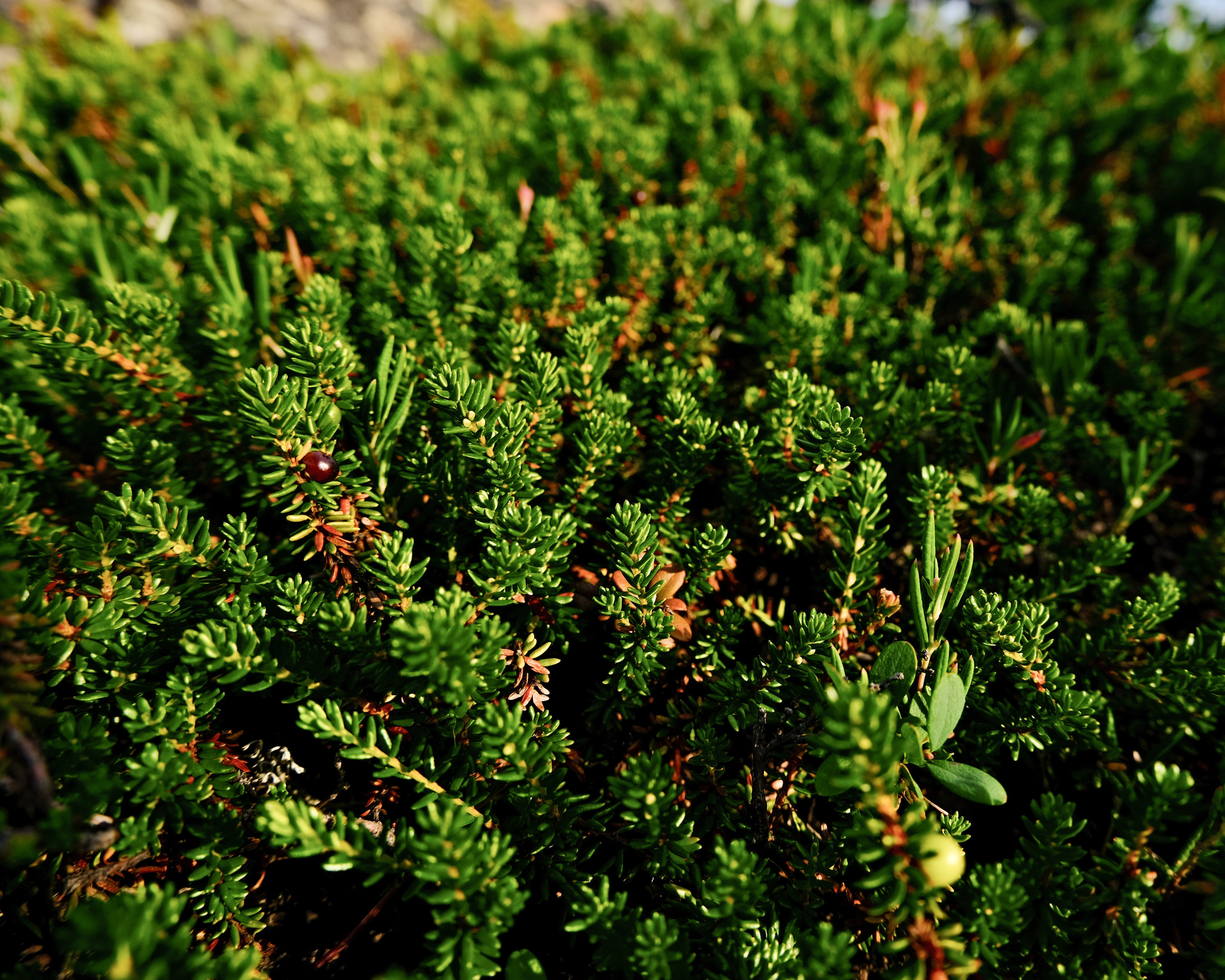 МУРМАНСК. Фотографии из путешествий