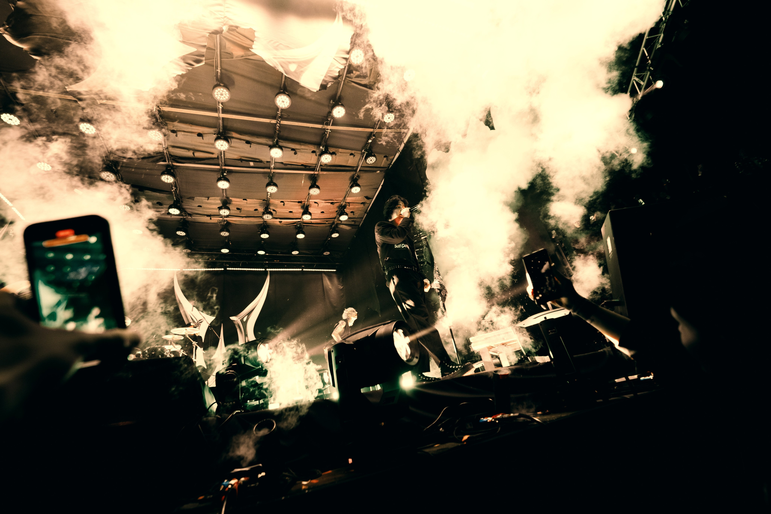 WILDWAYS. PASHAHARCE PHOTOGRAPHER & VIDEOGRAPHER