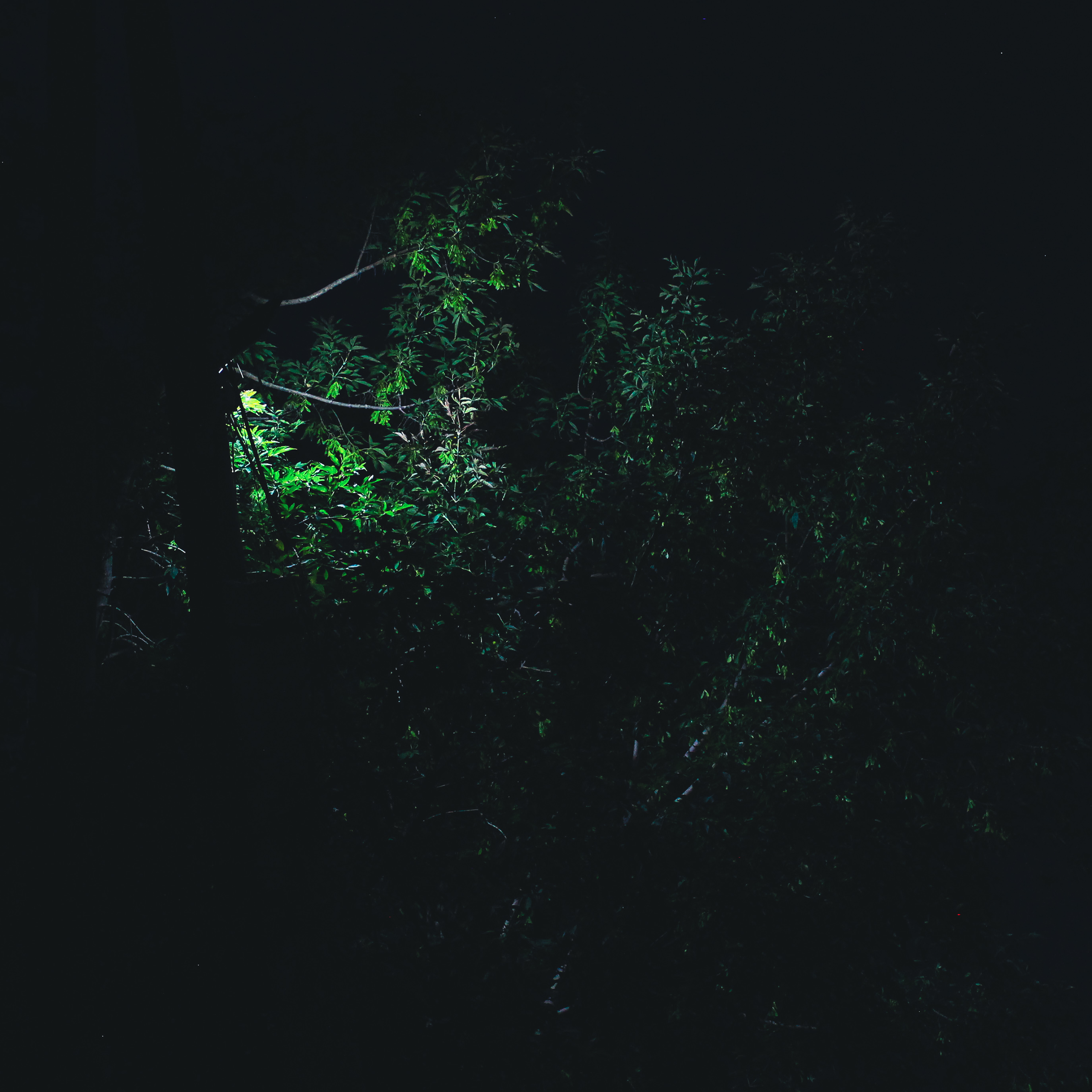 Summertime. Фотограф/дизайнер в Екатеринбурге Хитрый Дмитрий