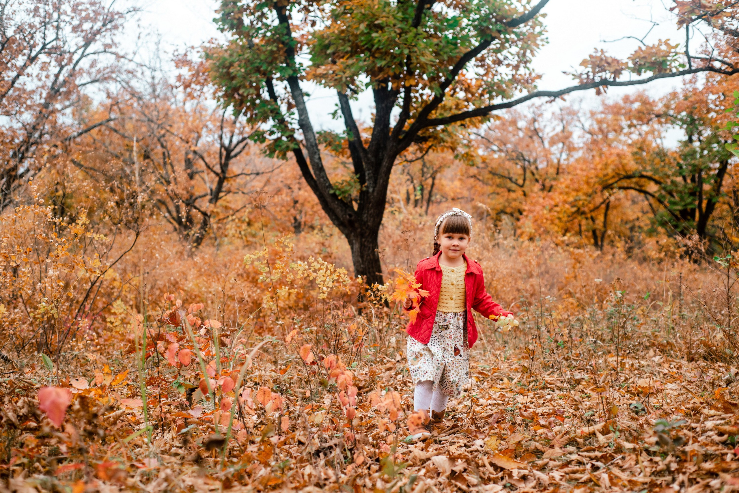 Семейная прогулка. Фотограф Ярмишко Дарья. Выпускные фотокниги