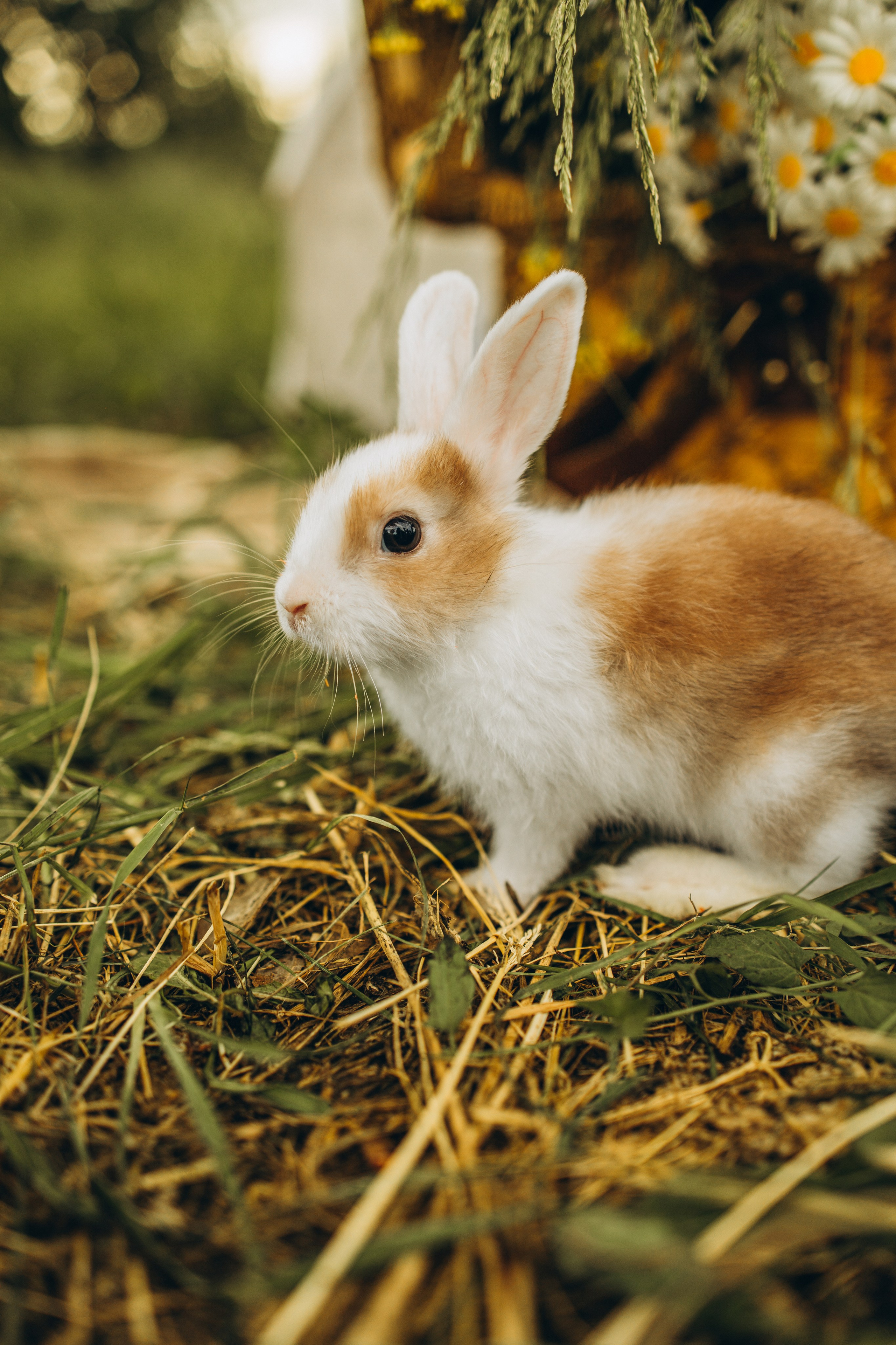 В Коломенском. Свадебный и семейный фотограф Москва и Московская область