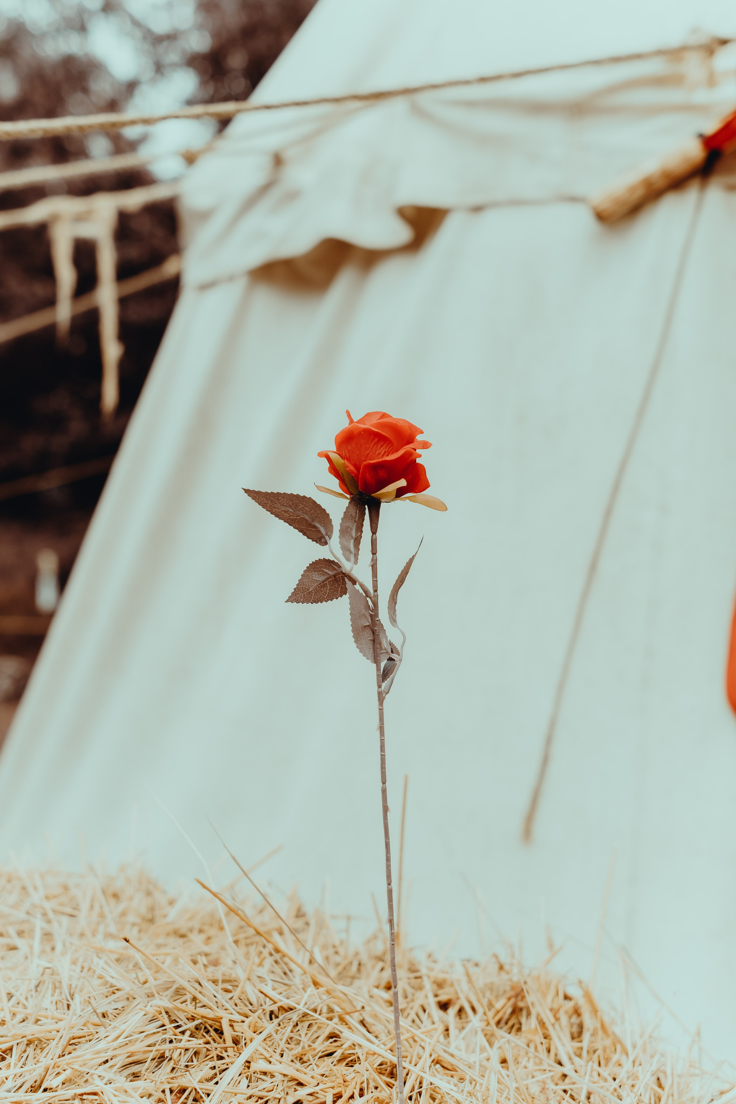 Отряд: эпоха Кометы. Фотограф Аннё| Москва