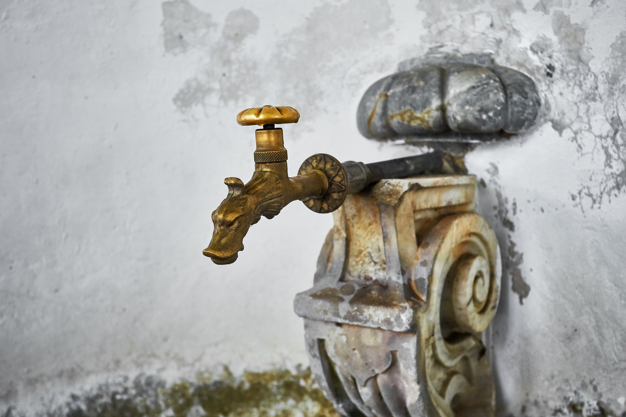 Архитектура. Telesh media production