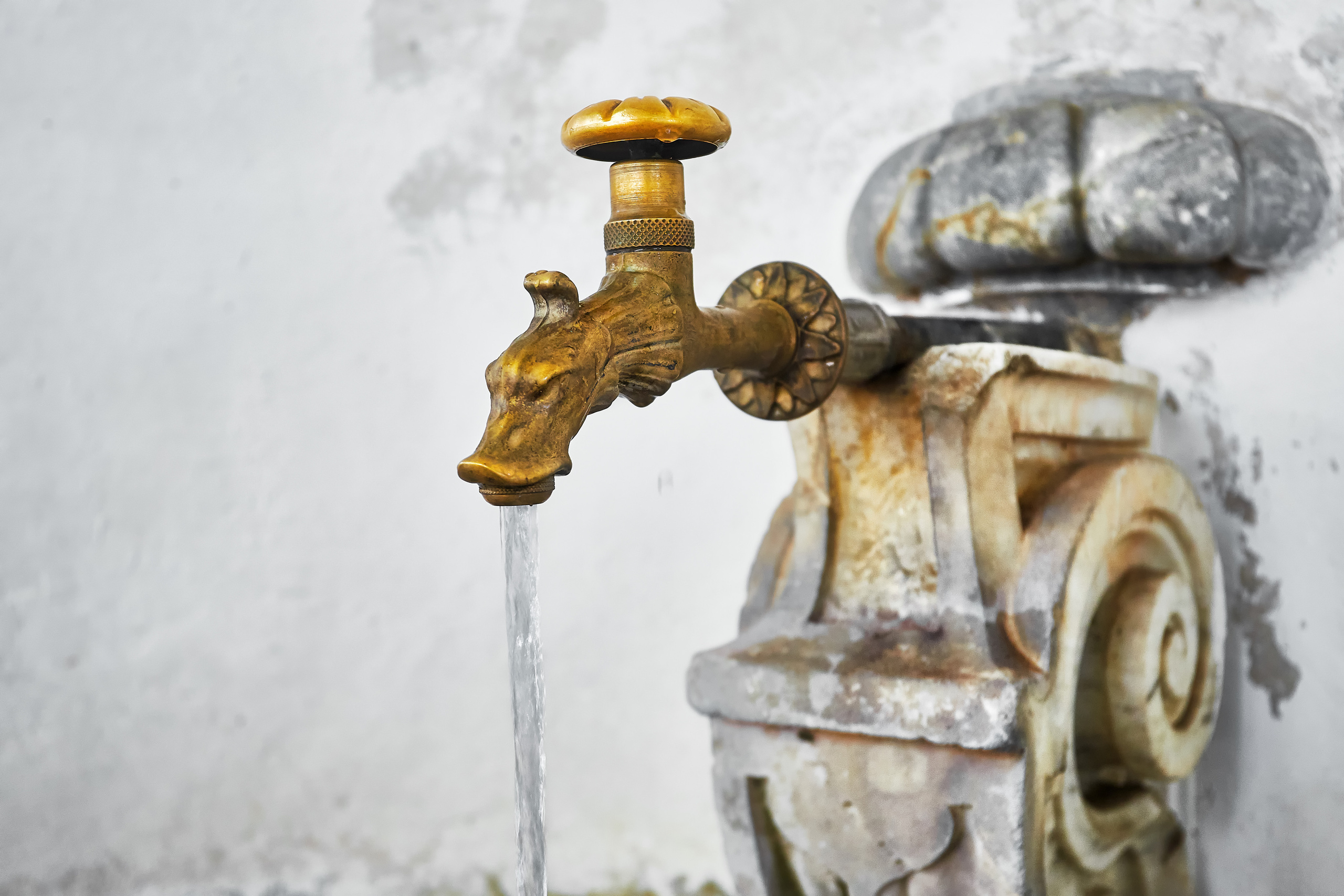 Архитектура. Telesh media production