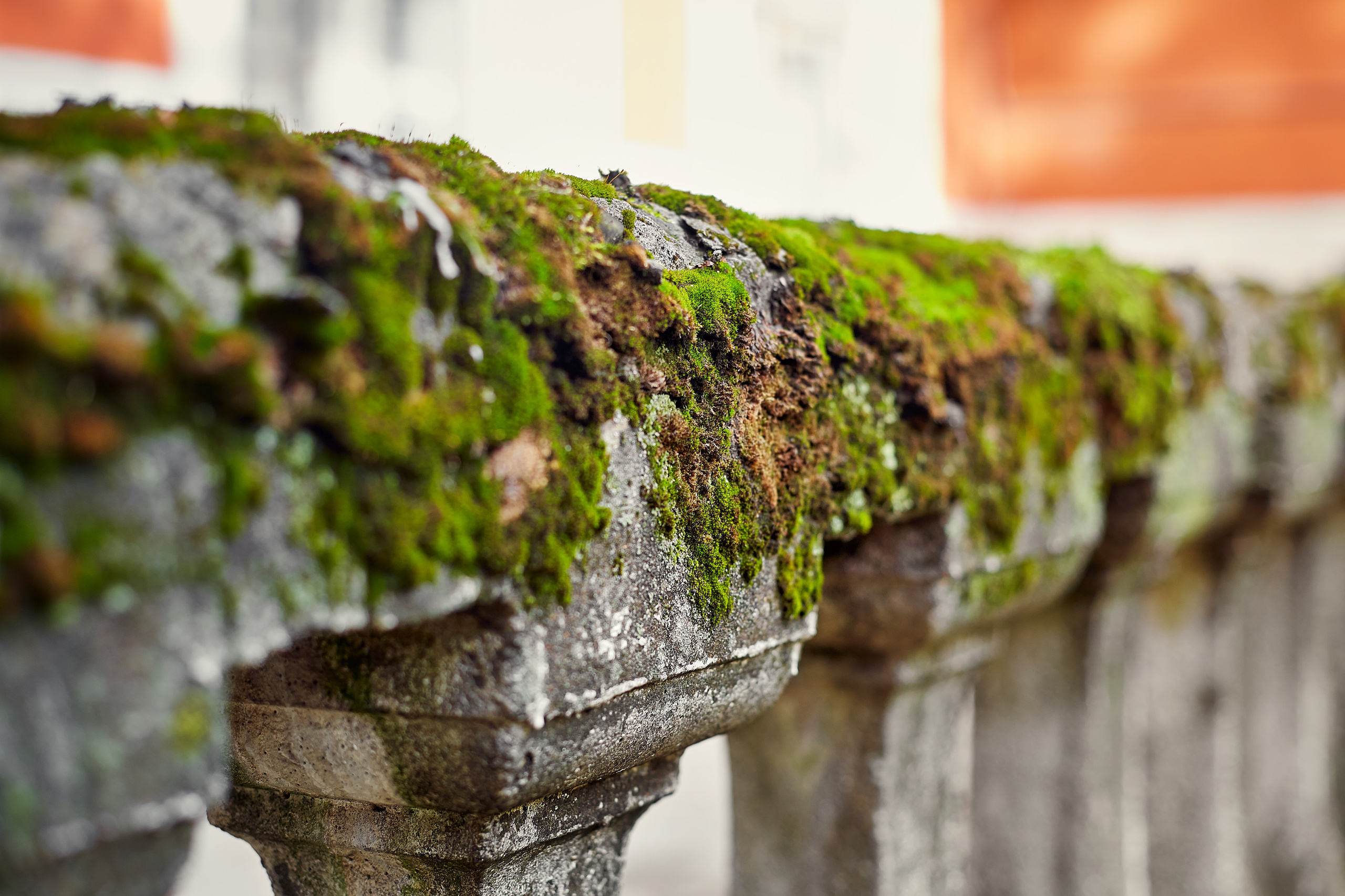 Архитектура. Telesh media production