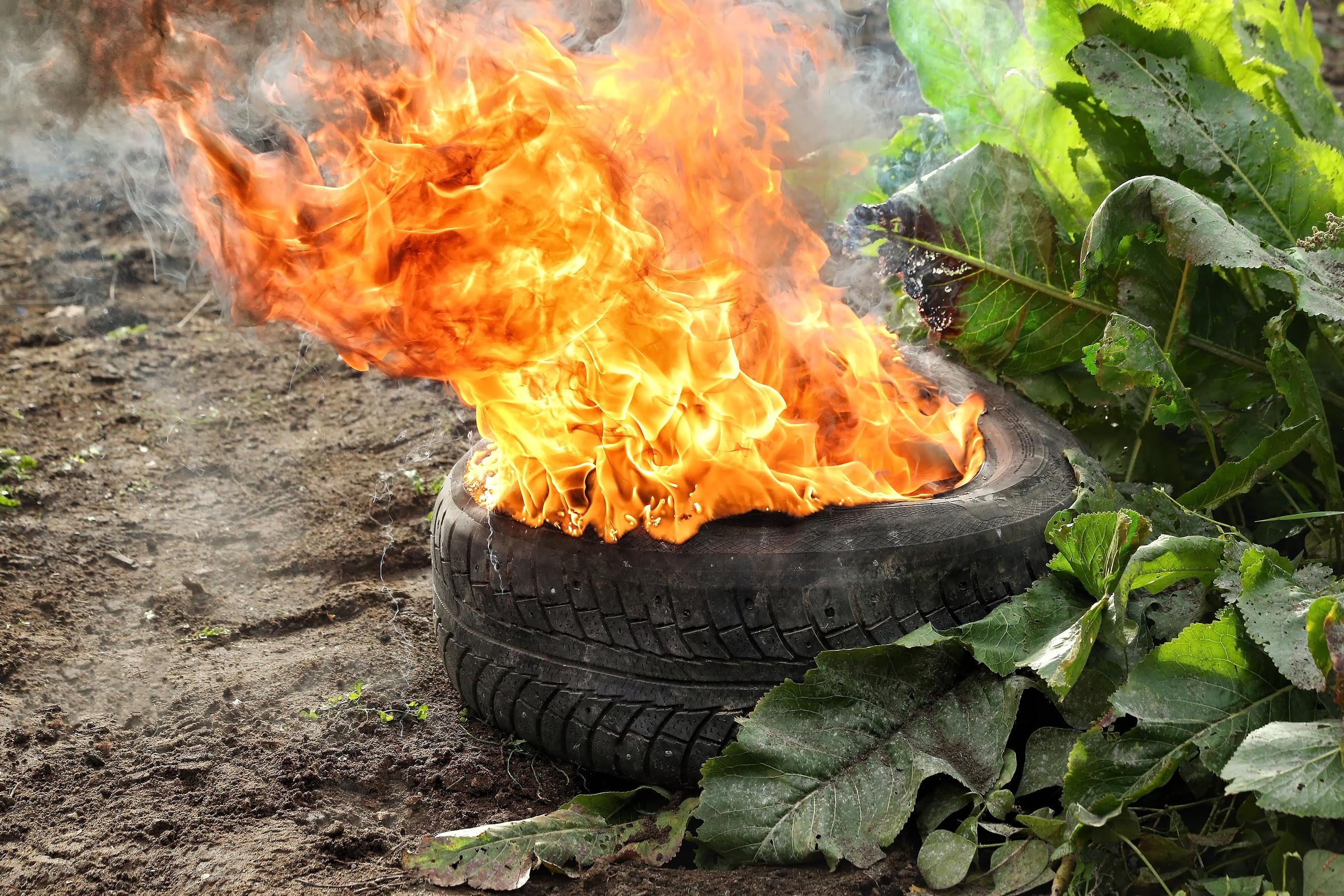 Война в кадре. Telesh media production