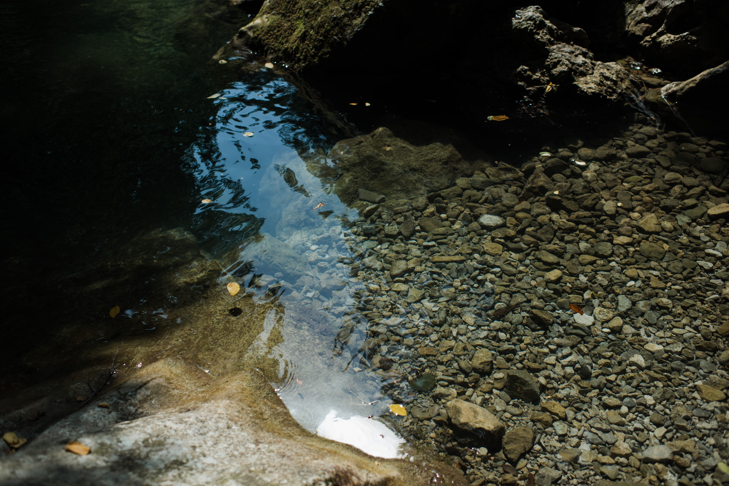 Звук и тишина // Мария. Фотограф Алутера Ирина