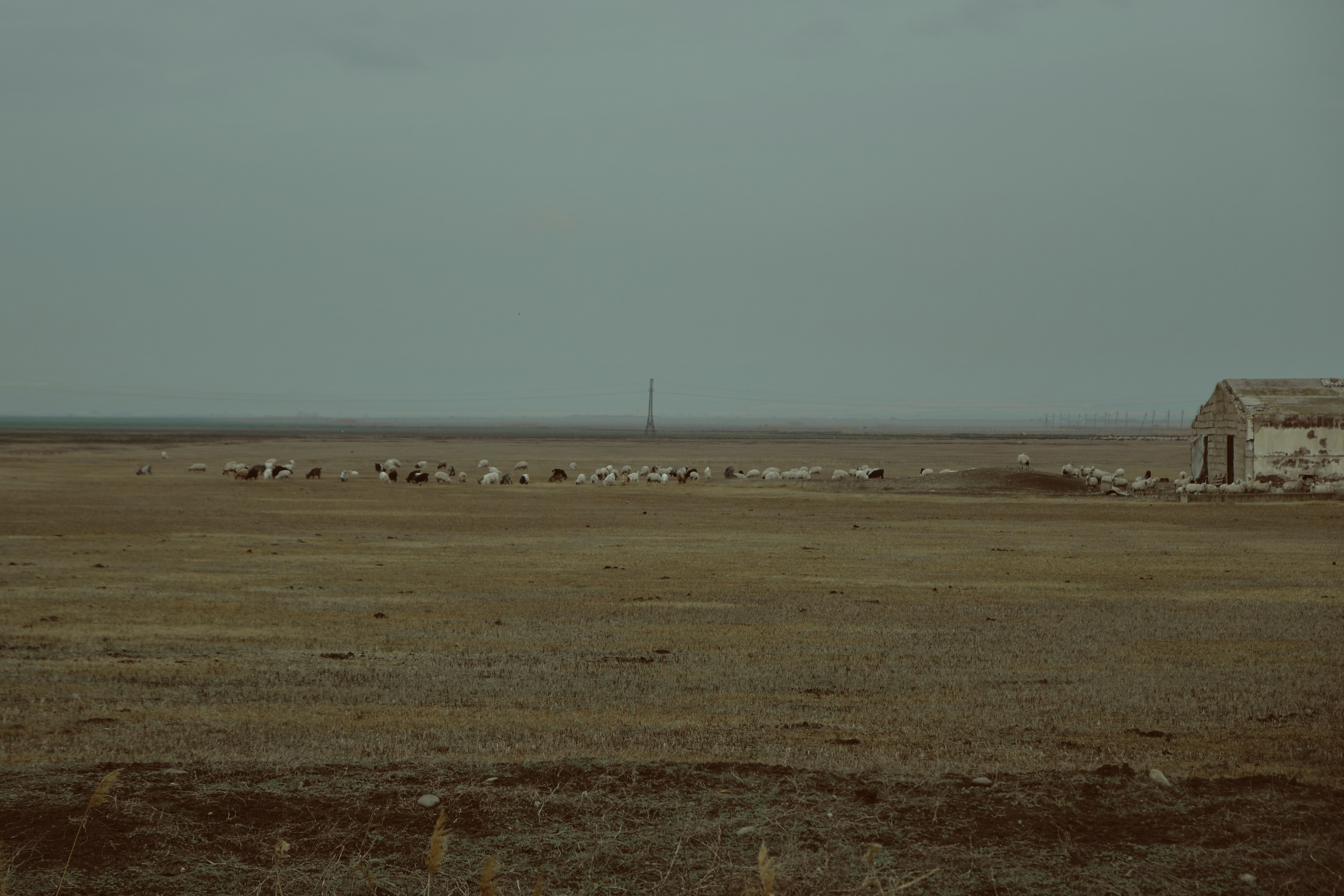 Грузия. Фотограф Настя Лев