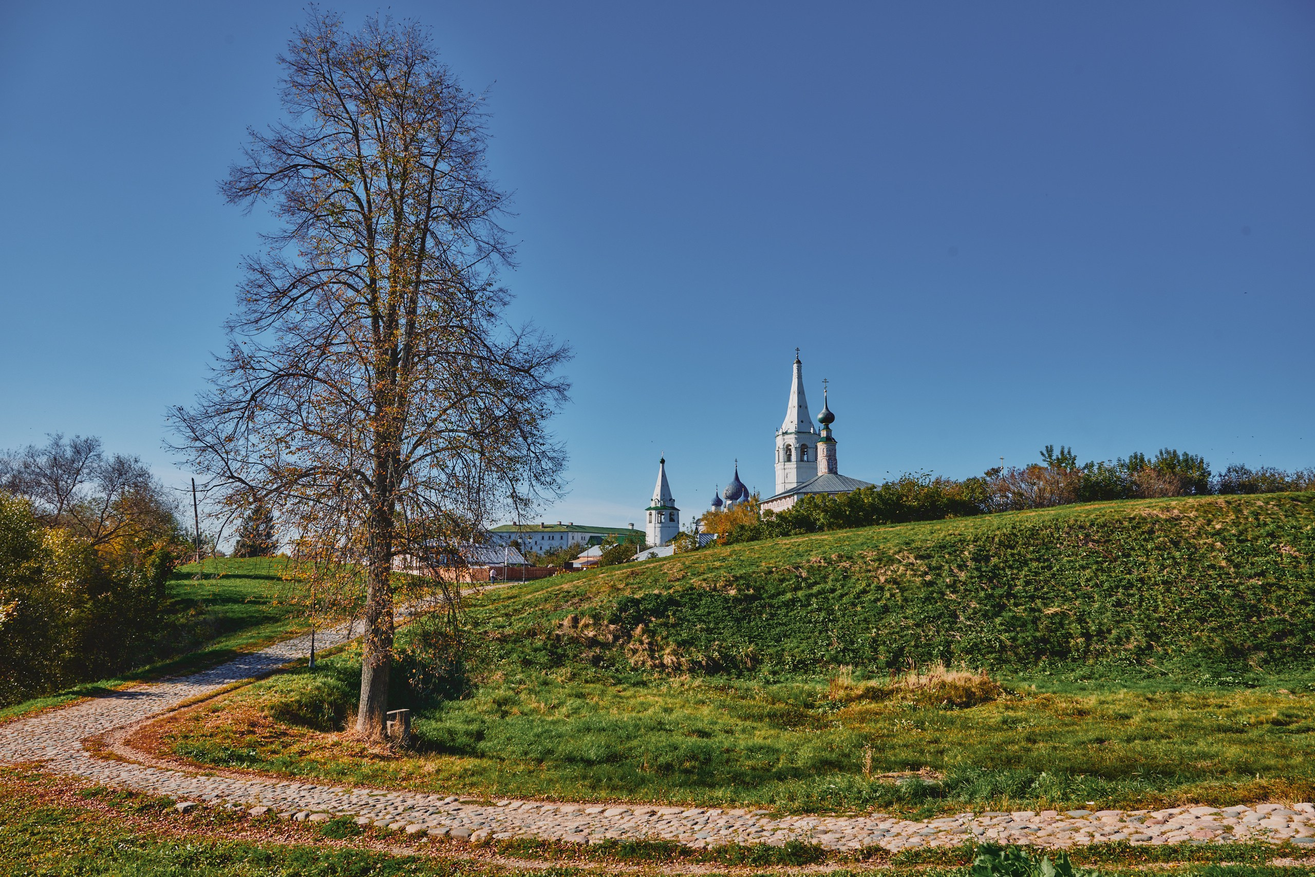 Суздаль — лучший город для Свадьб. Фотограф в Иваново на праздники и мероприятия — Александр Кондаков