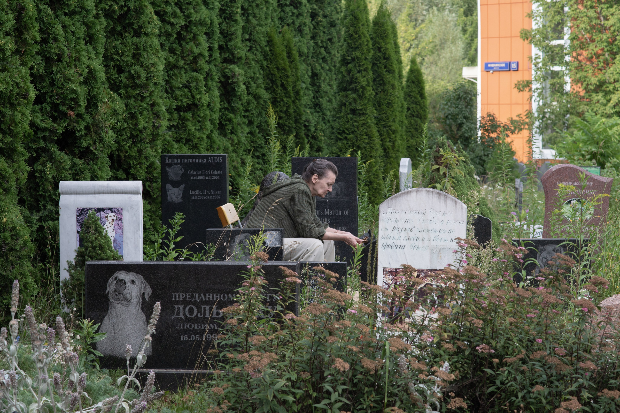 Пустота имеет место. Главная