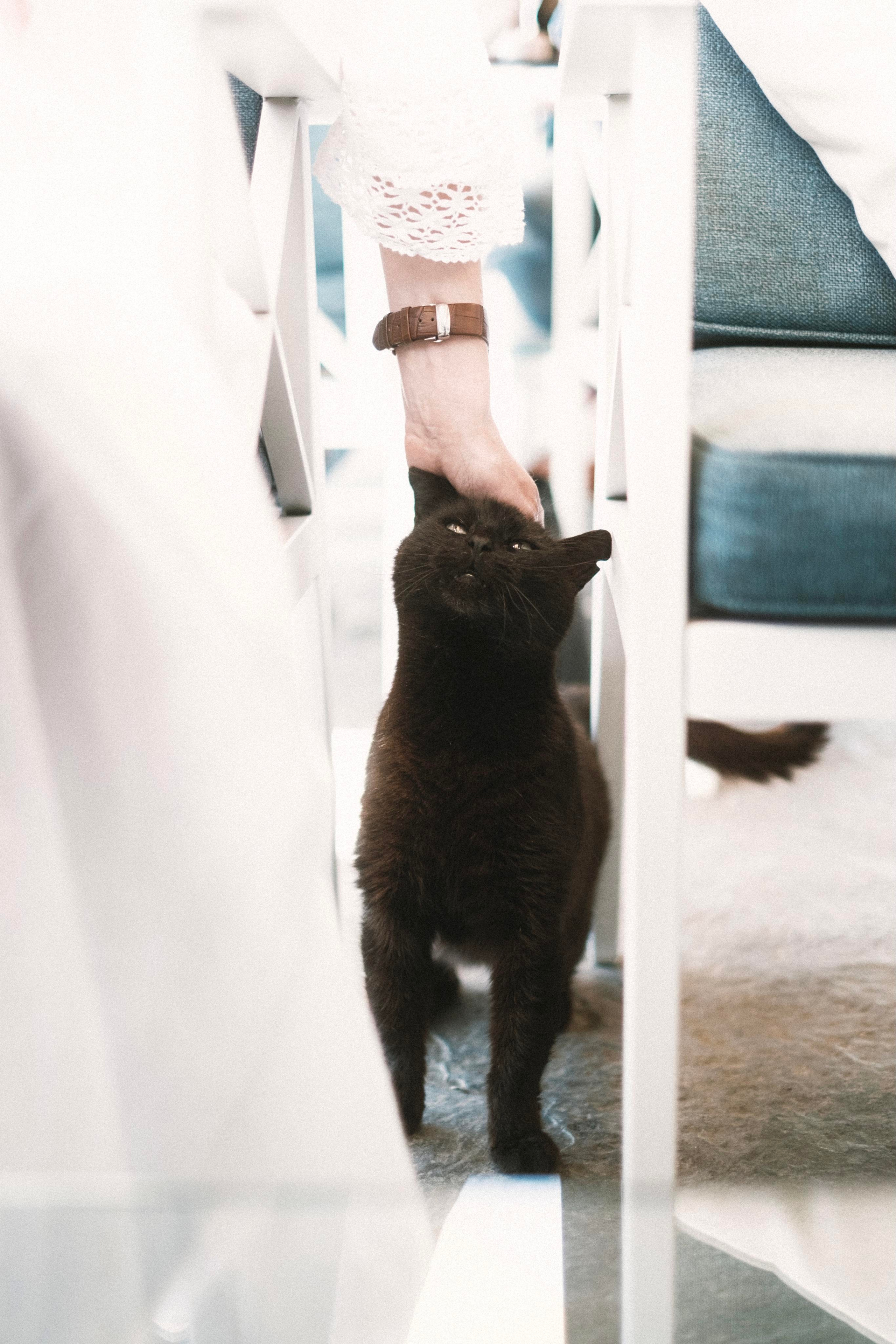 Сочи. Фотограф-психолог, стильная контентная и портретная съемка в Москве