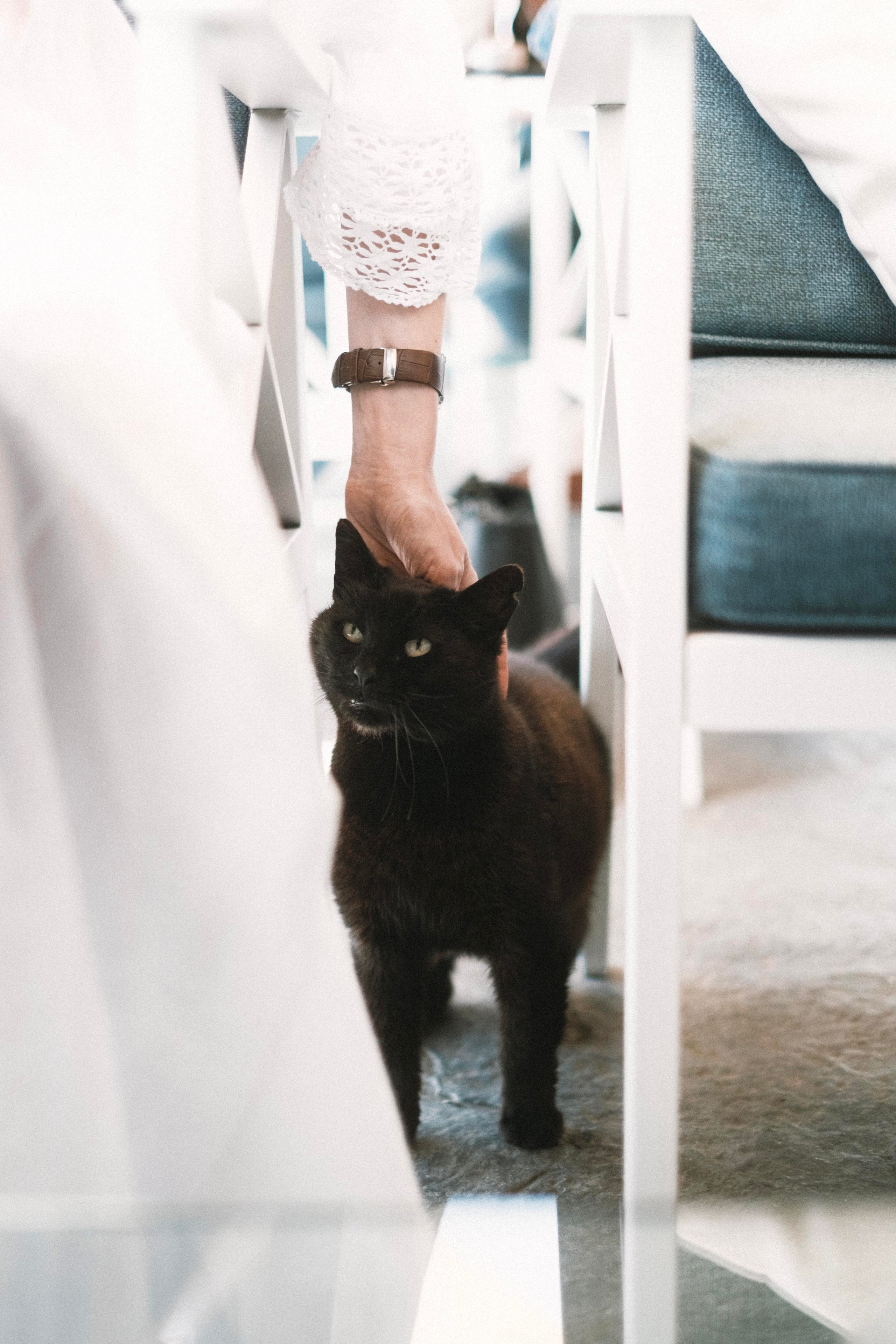 Сочи. Фотограф-психолог, стильная контентная и портретная съемка в Москве