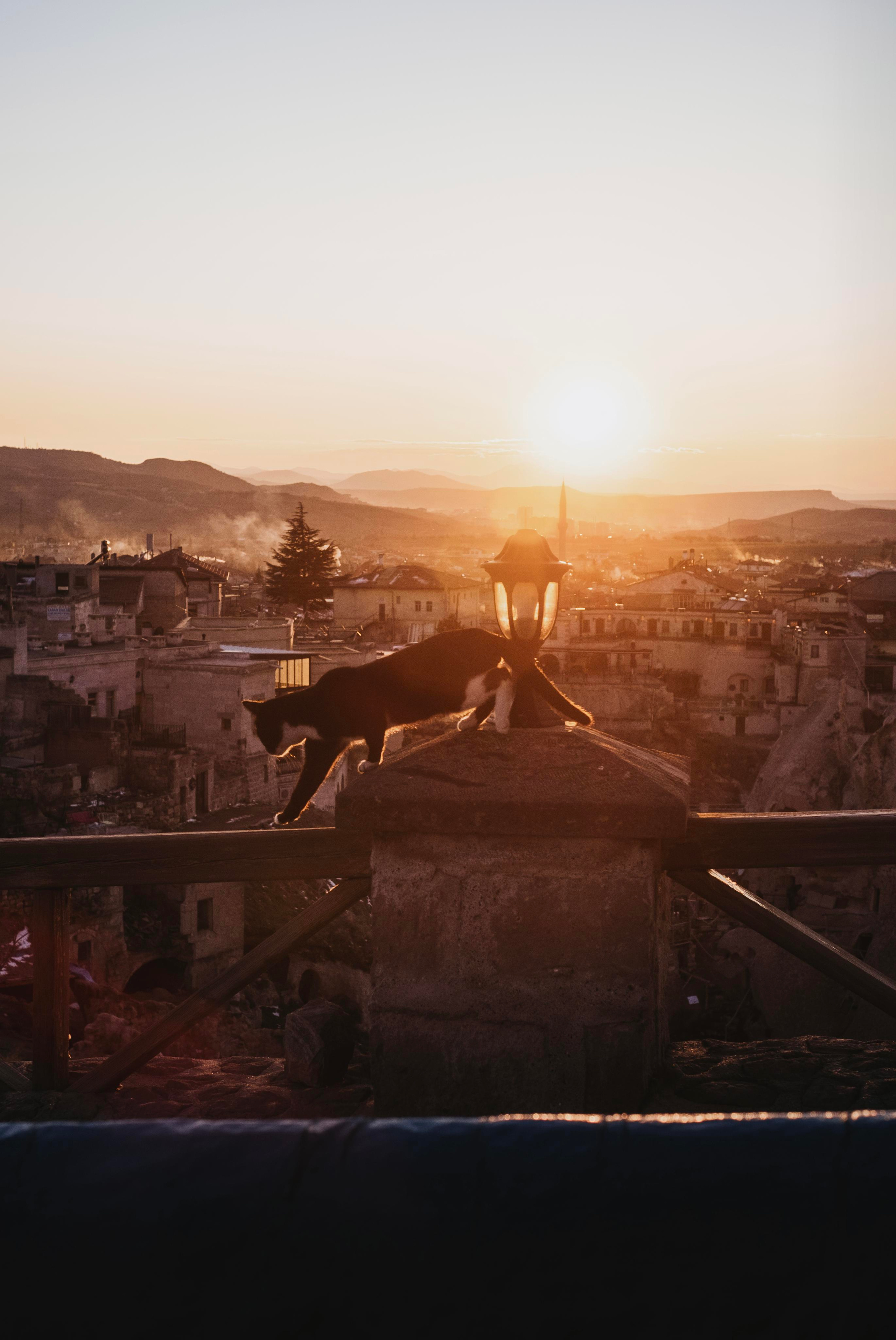 Каппадокия. Фотограф-психолог, стильная контентная и портретная съемка в Москве