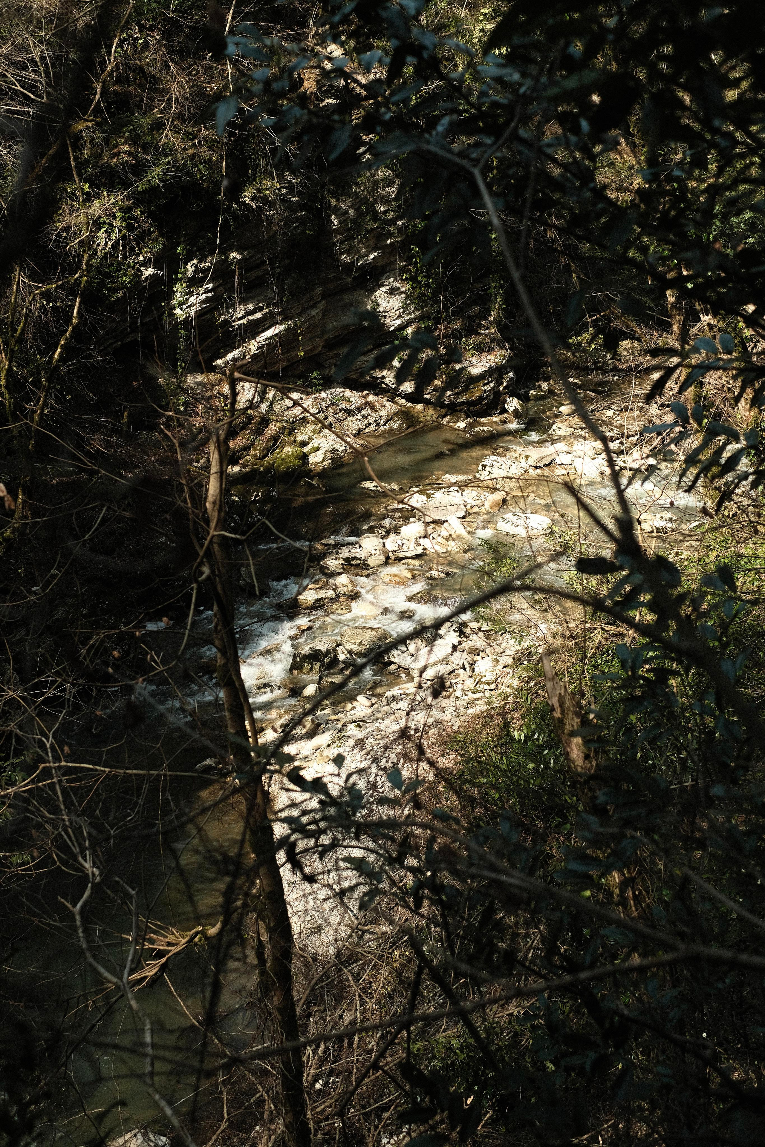 Сочи. Фотограф-психолог, стильная контентная и портретная съемка в Москве