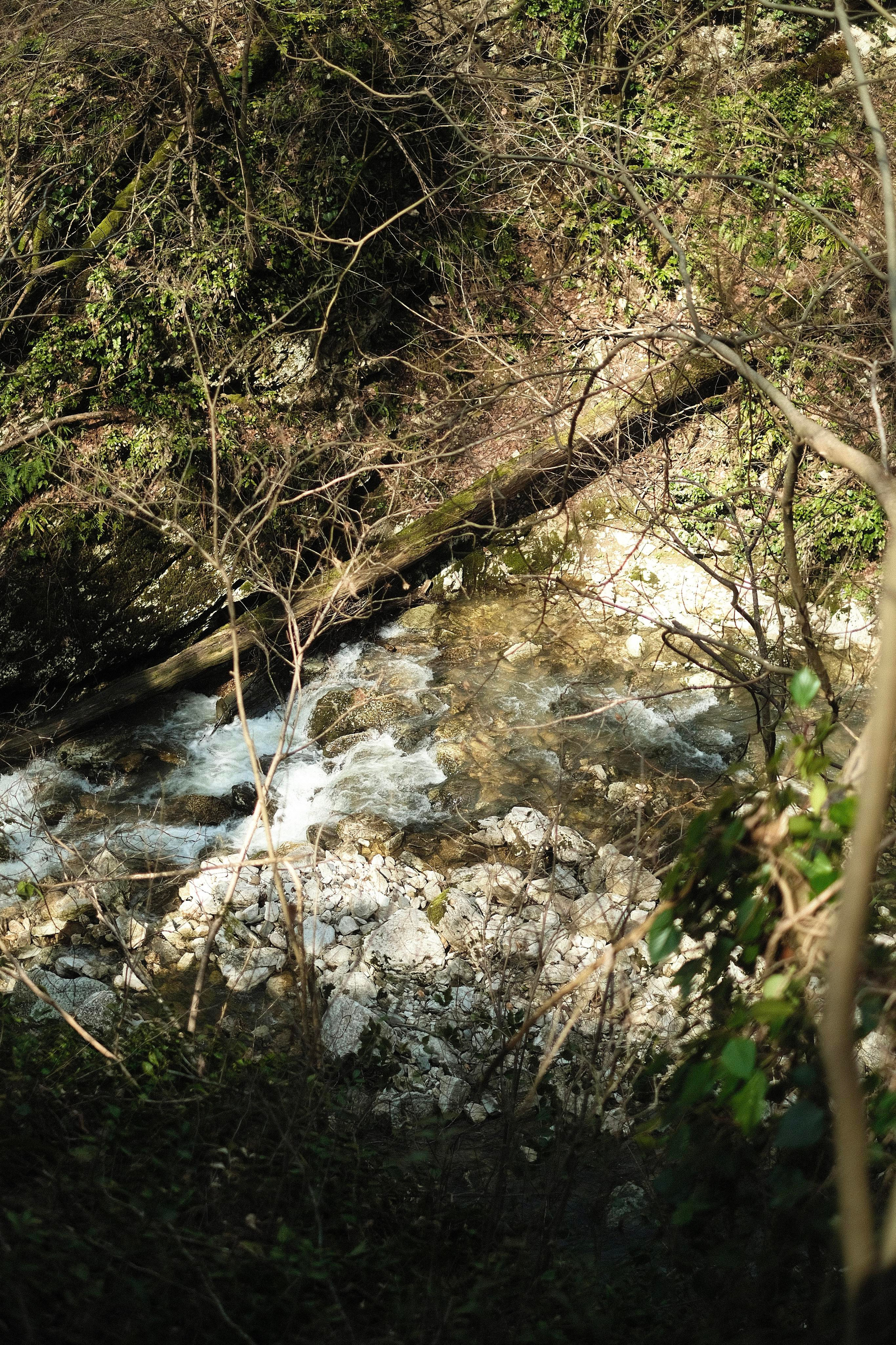 Сочи. Фотограф-психолог, стильная контентная и портретная съемка в Москве