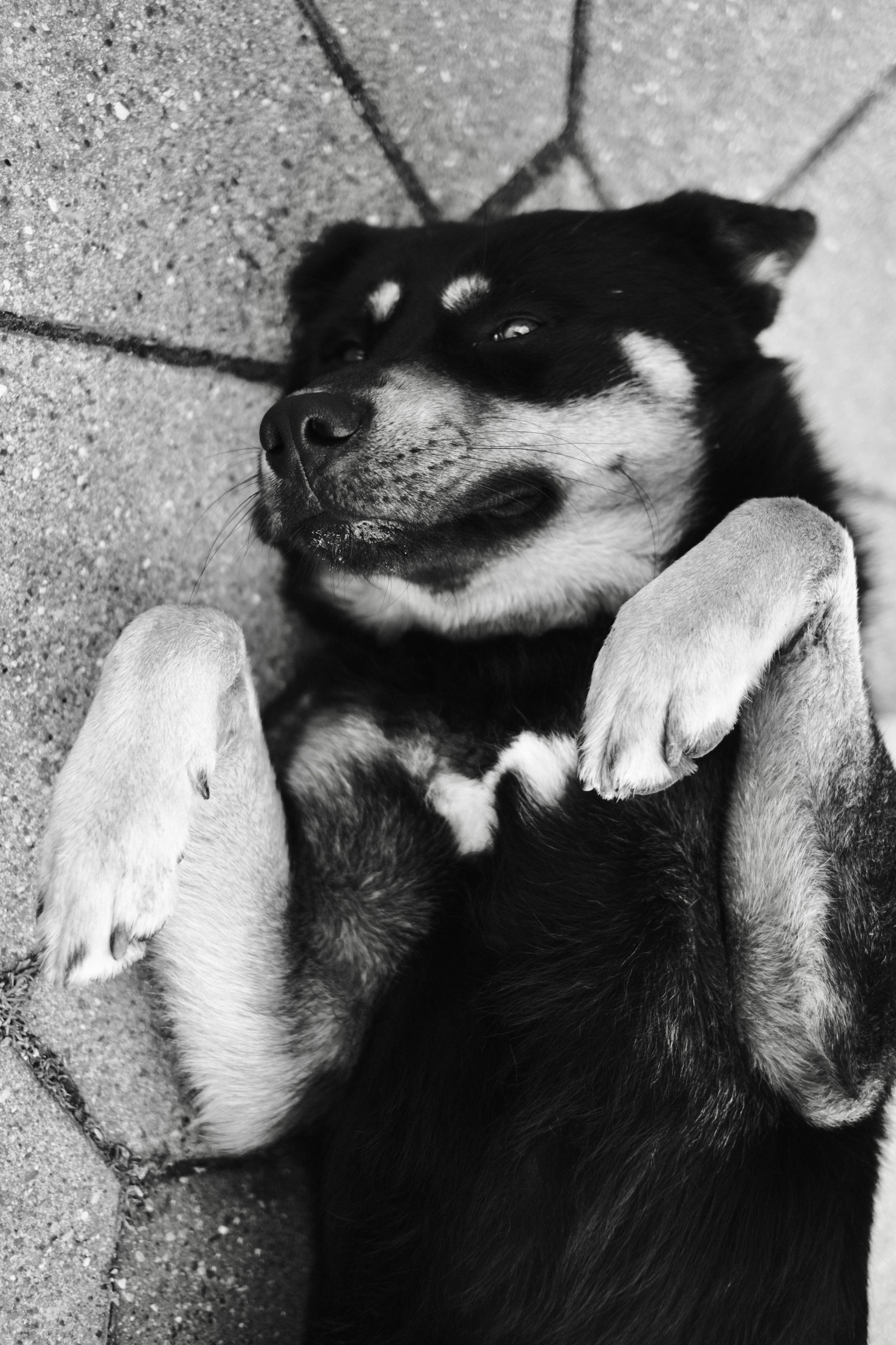 Сочи. Фотограф-психолог, стильная контентная и портретная съемка в Москве