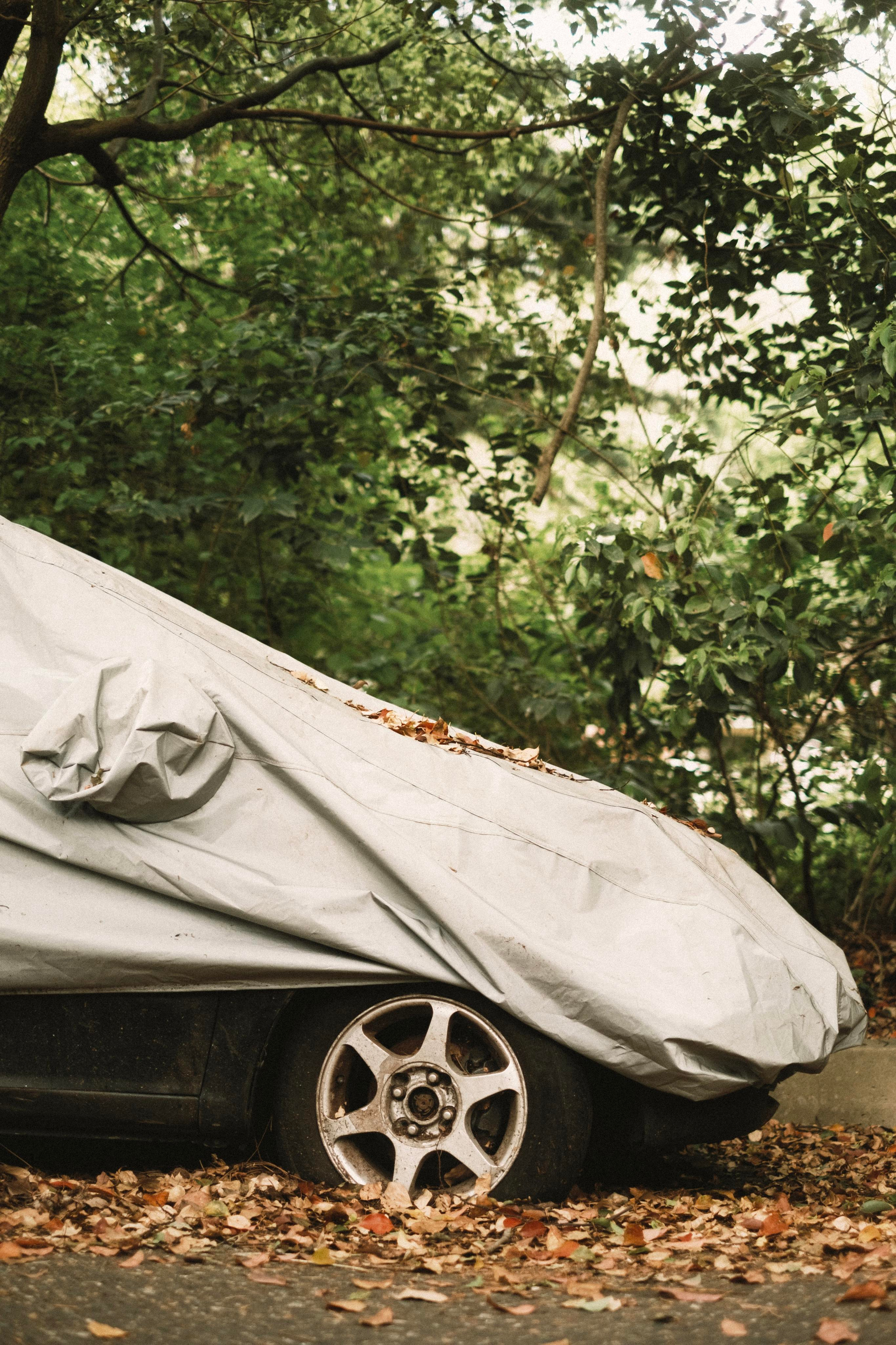 Сочи. Фотограф-психолог, стильная контентная и портретная съемка в Москве