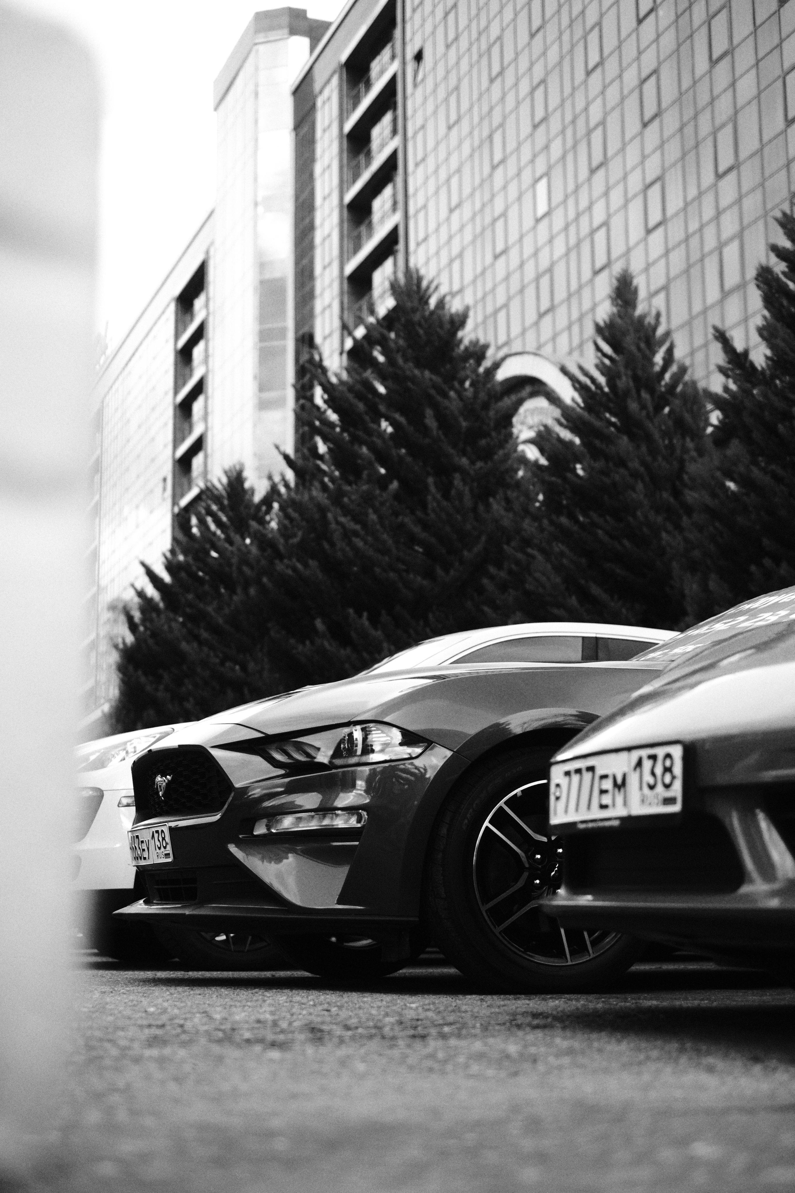 Сочи. Фотограф-психолог, стильная контентная и портретная съемка в Москве