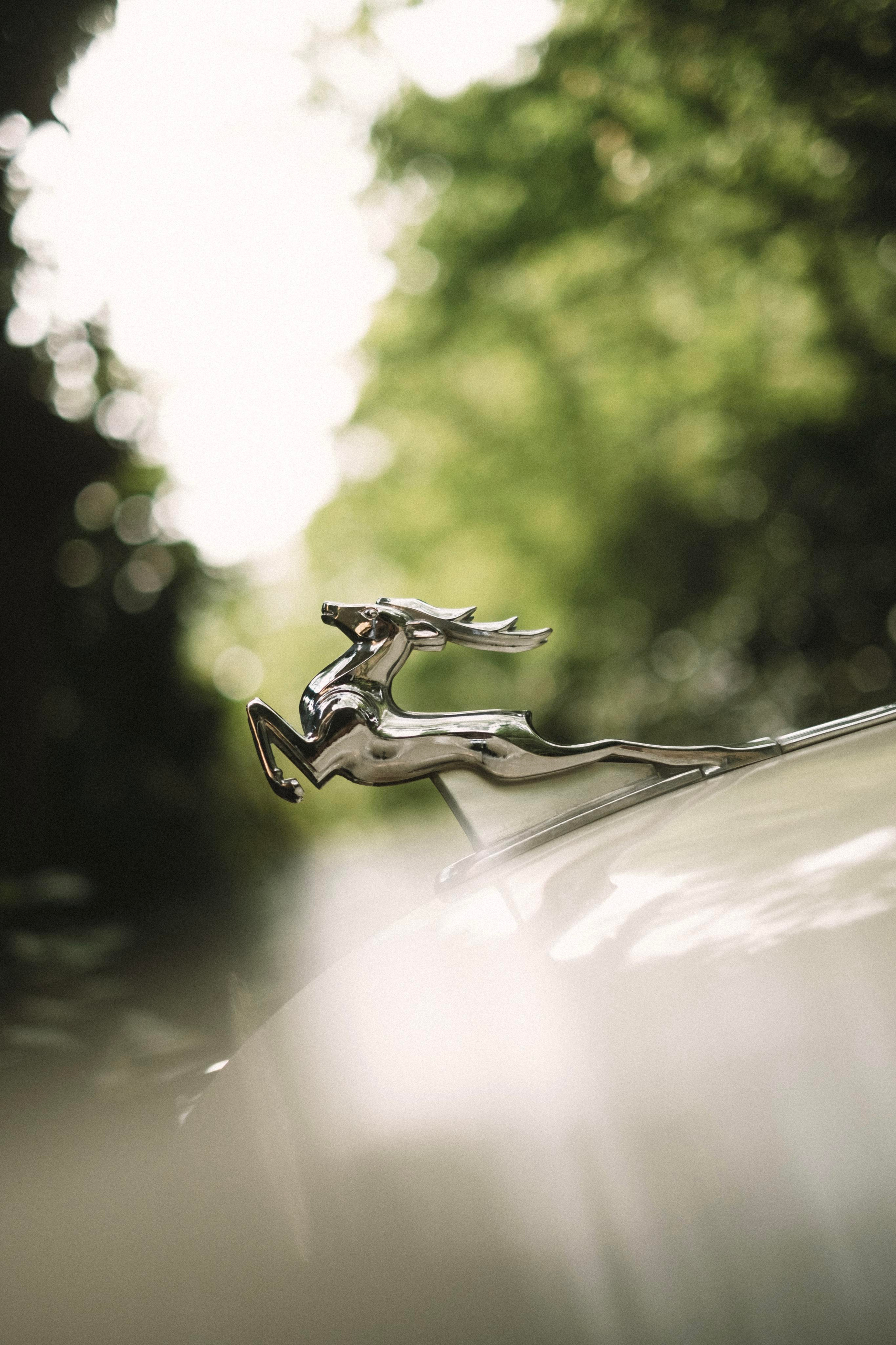 Сочи. Фотограф-психолог, стильная контентная и портретная съемка в Москве