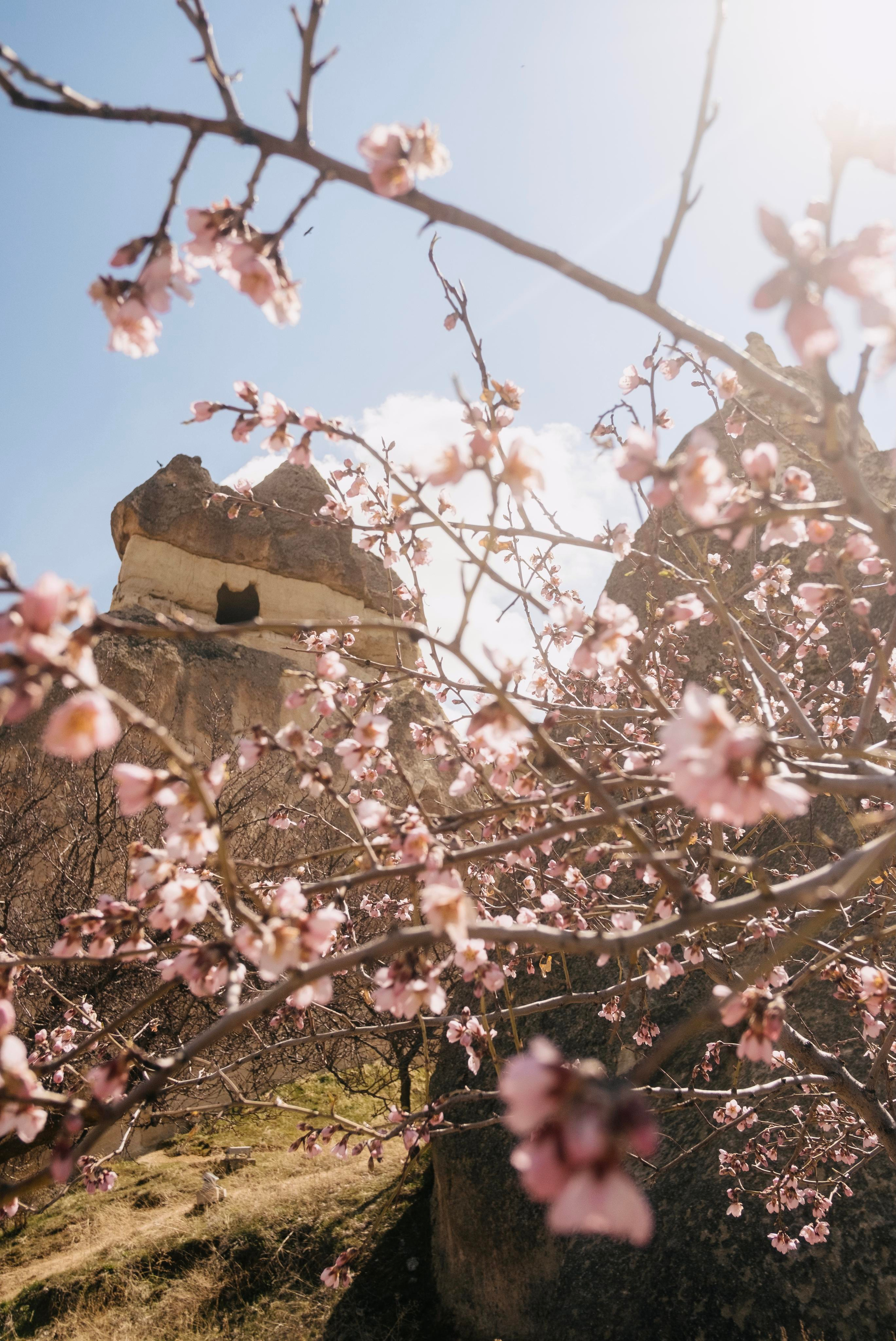 Каппадокия. Фотограф-психолог, стильная контентная и портретная съемка в Москве