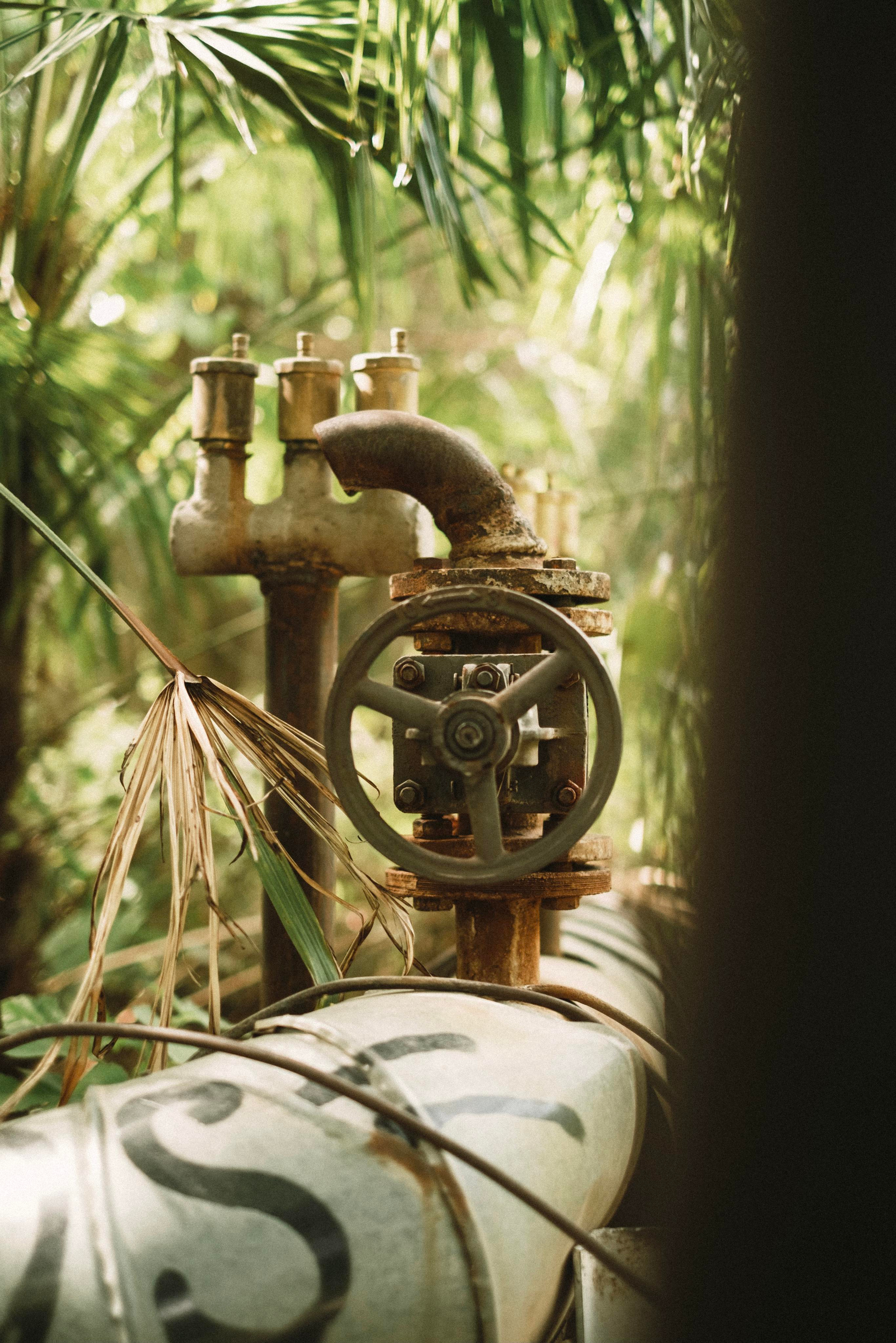 Сочи. Фотограф-психолог, стильная контентная и портретная съемка в Москве