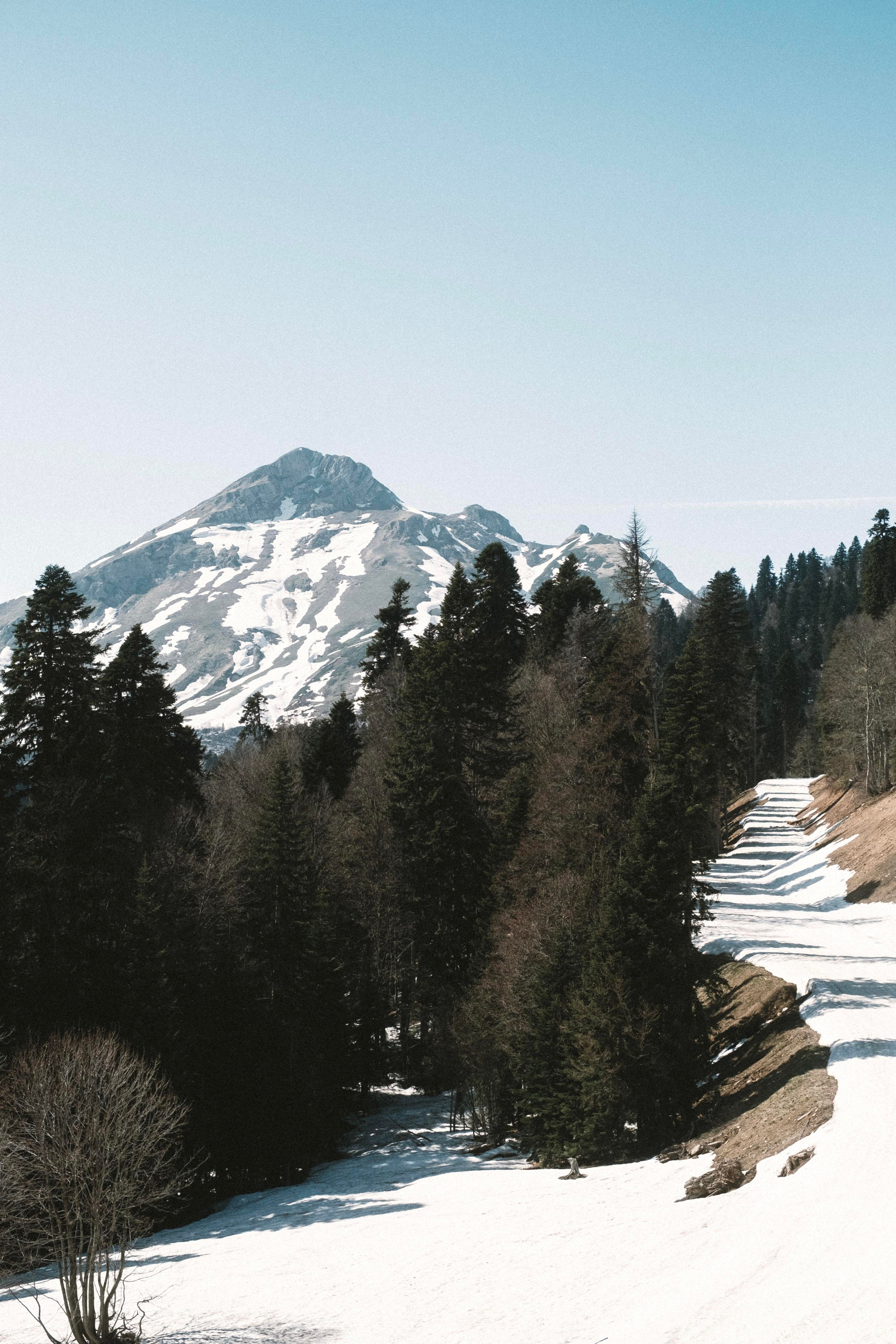 Сочи. Фотограф-психолог, стильная контентная и портретная съемка в Москве