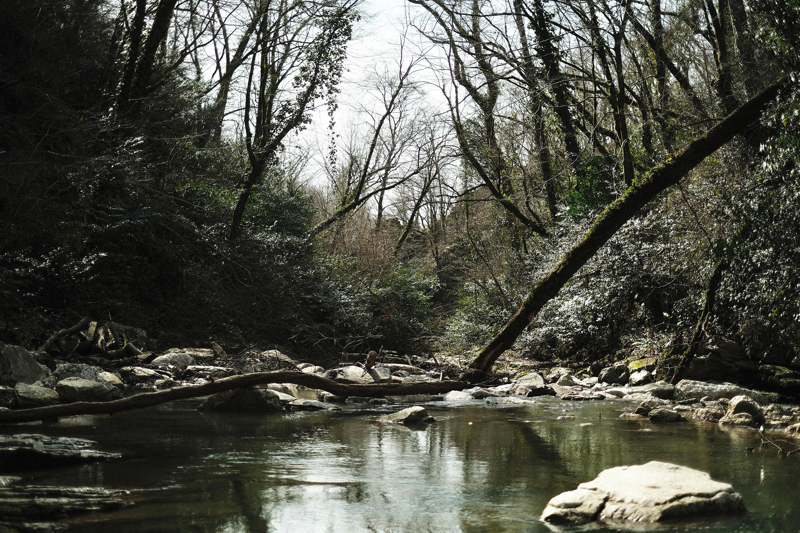 Сочи. Фотограф-психолог, стильная контентная и портретная съемка в Москве
