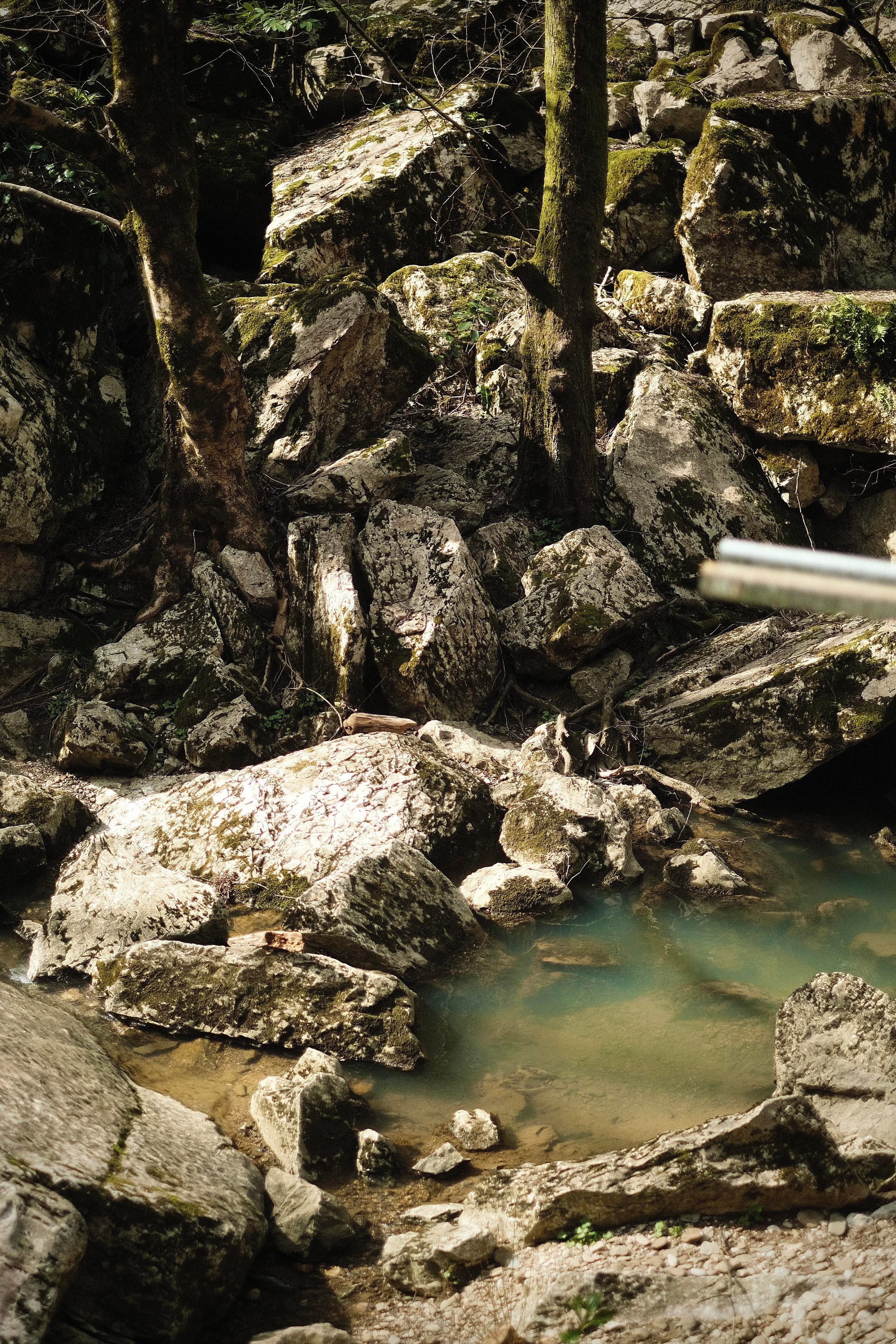 Сочи. Фотограф-психолог, стильная контентная и портретная съемка в Москве