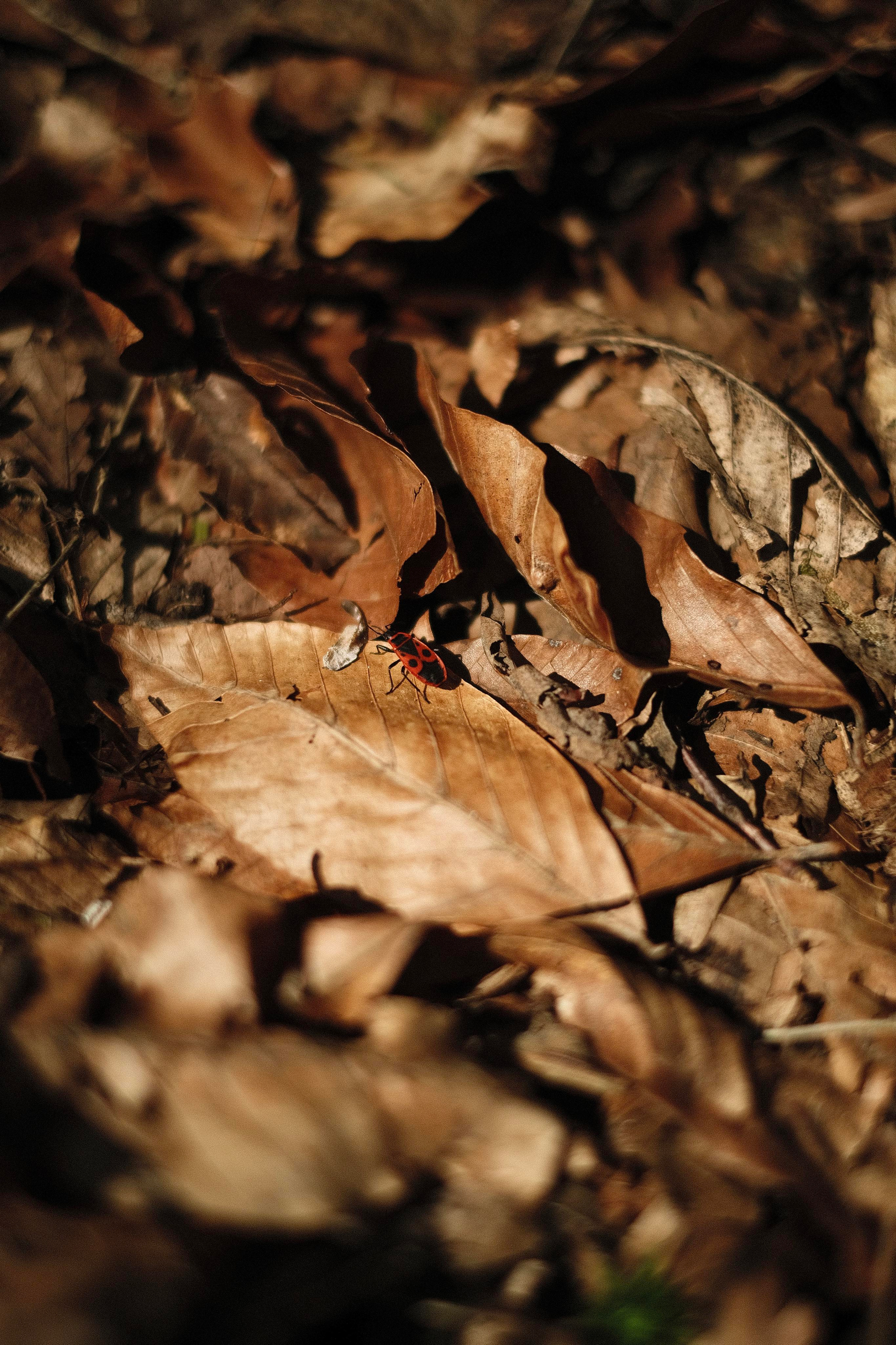 Сочи. Фотограф-психолог, стильная контентная и портретная съемка в Москве
