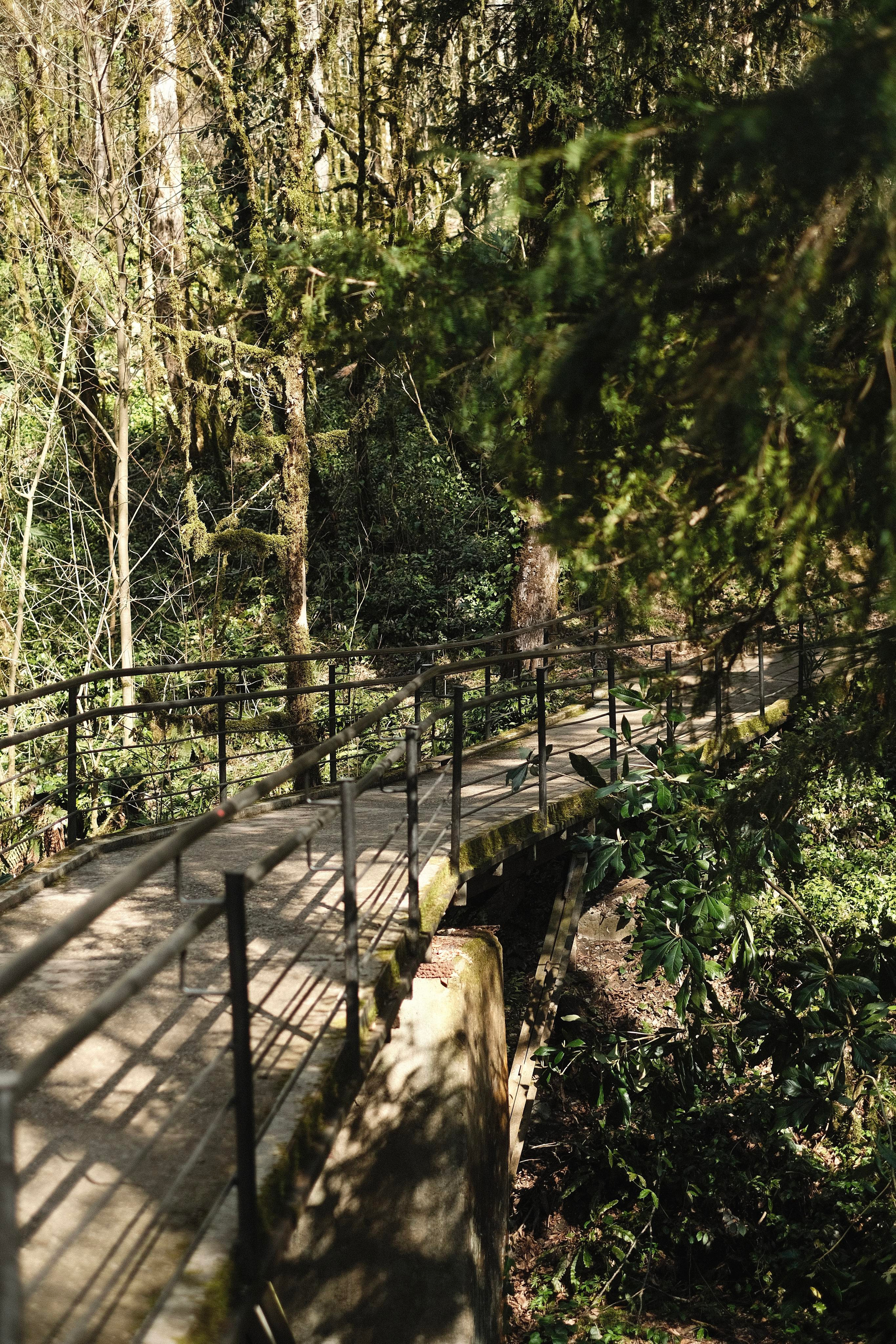 Сочи. Фотограф-психолог, стильная контентная и портретная съемка в Москве