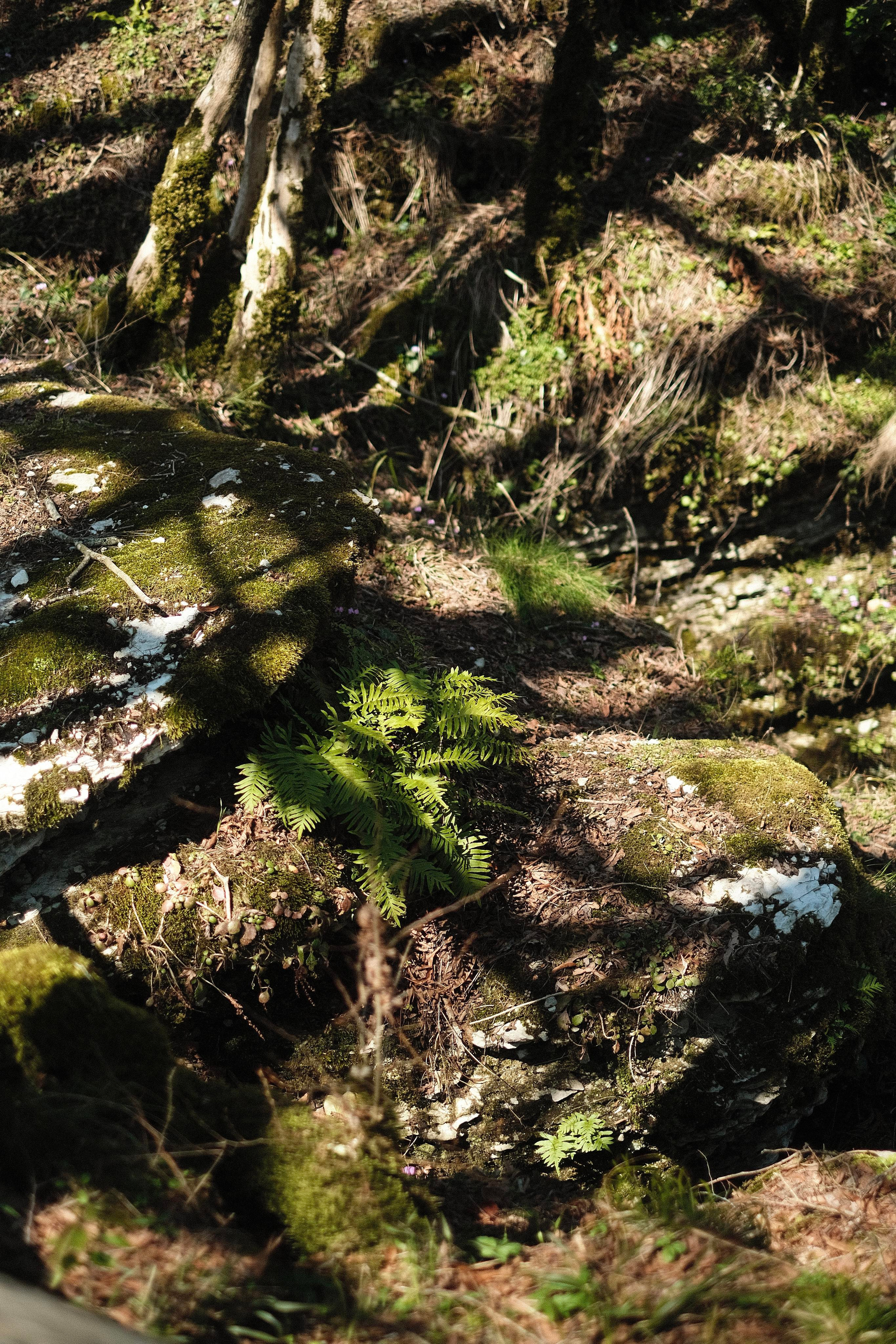 Сочи. Фотограф-психолог, стильная контентная и портретная съемка в Москве