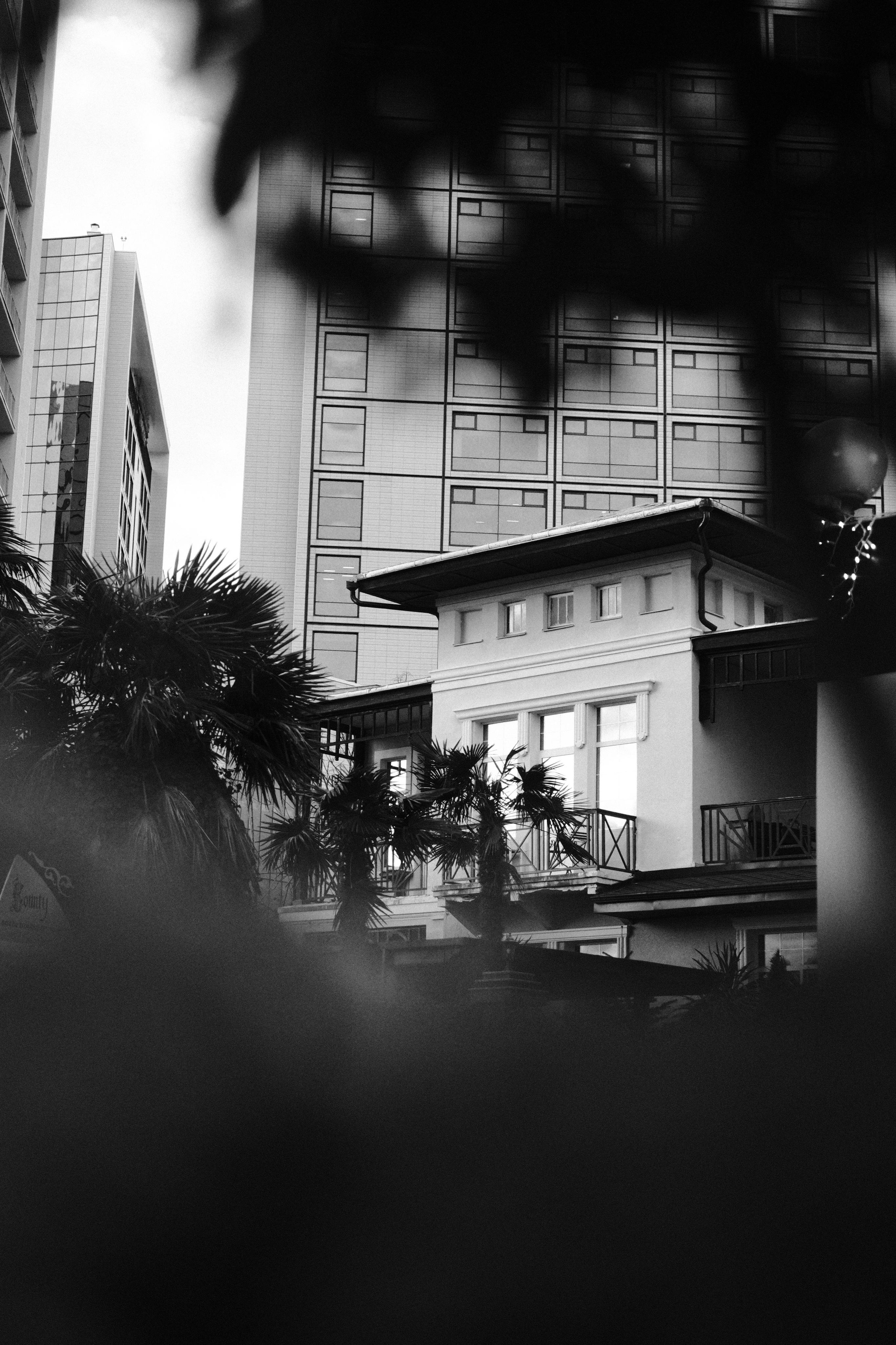 Сочи. Фотограф-психолог, стильная контентная и портретная съемка в Москве